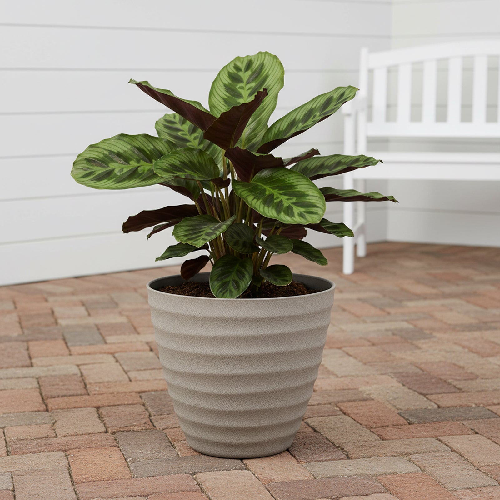 Eden 30cm sandstone wavy planter suitable for indoor and outdoor plant display