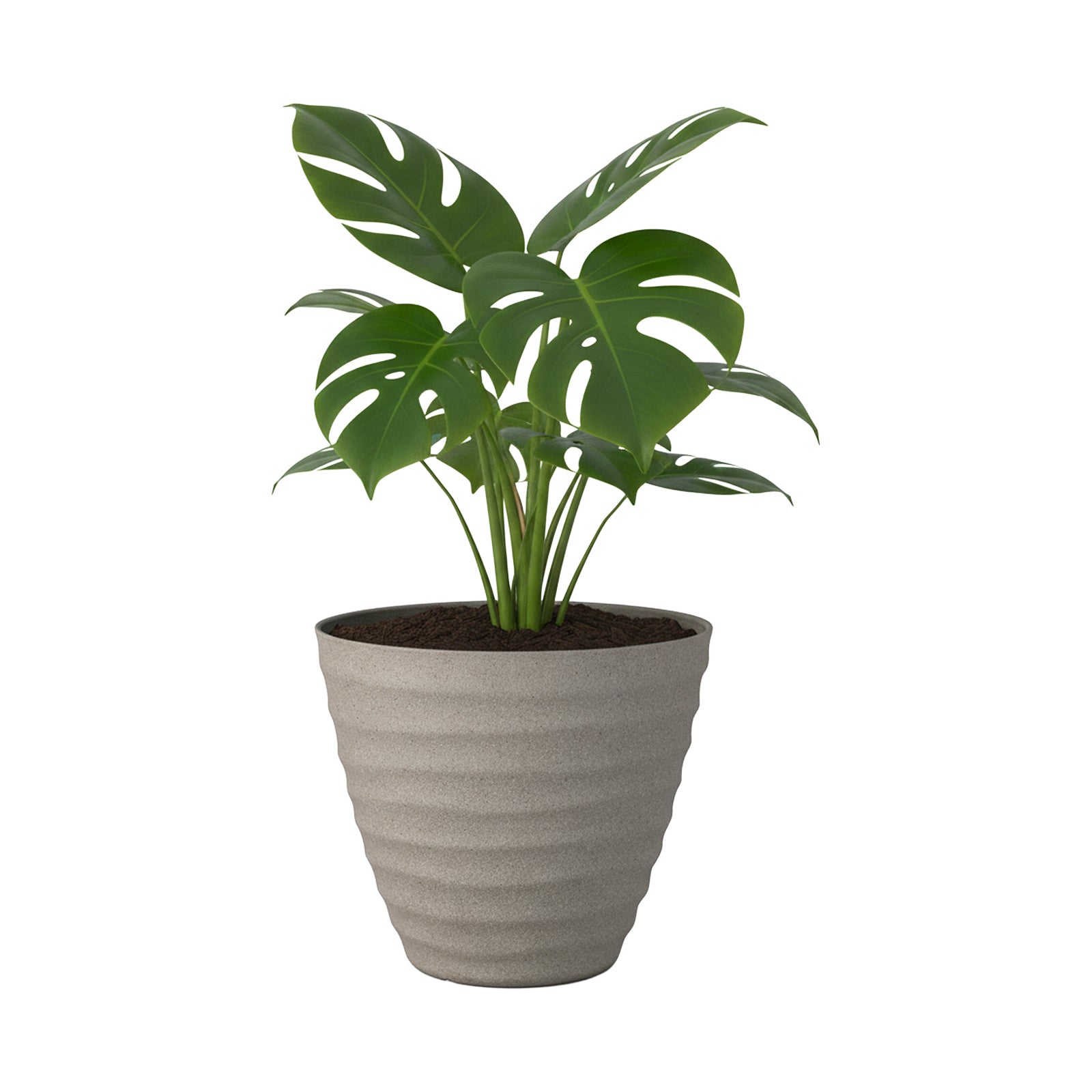 Eden 30cm sandstone wavy planter suitable for indoor and outdoor plant display