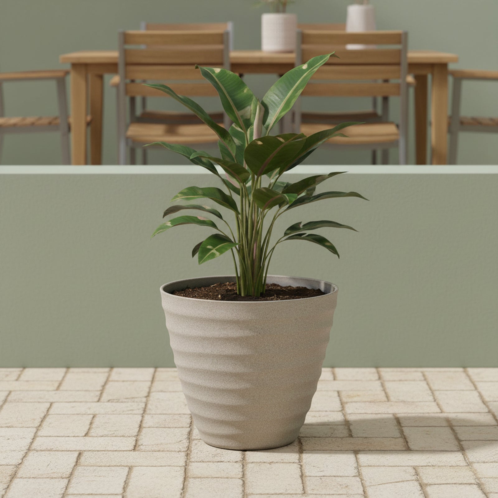 Eden 30cm sandstone wavy planter suitable for indoor and outdoor plant display