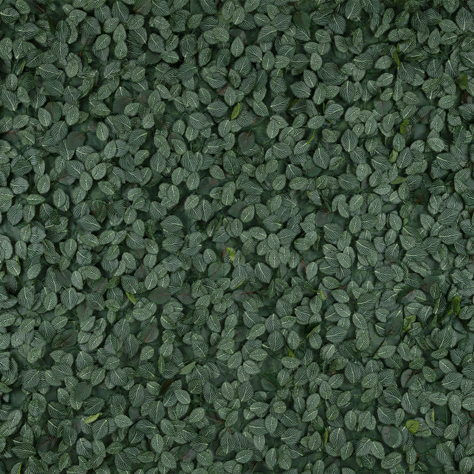 Eden 1.75 x 3m Artificial Leaf  Garden Screening