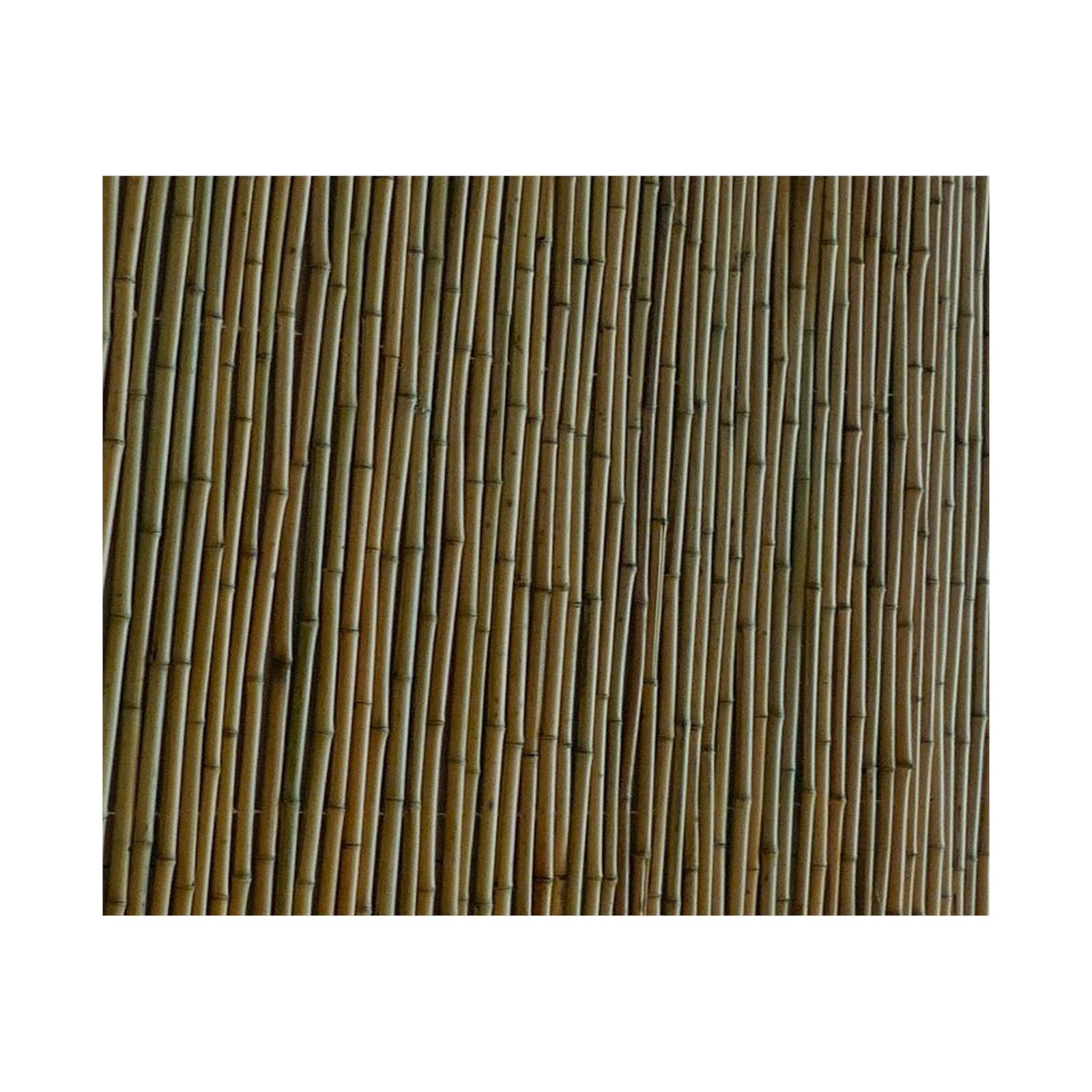 Eden premium natural bamboo screen fencing for outdoor privacy and garden screening