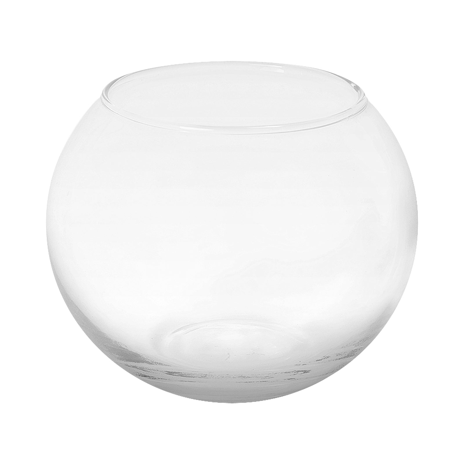Eden 10cm clear glass bowl planter for small indoor plants, succulents and table décor