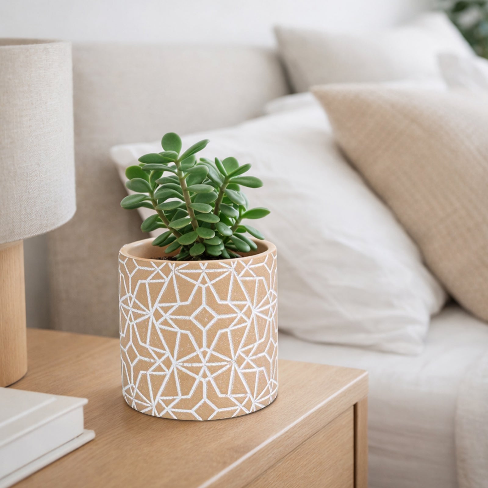 Eden 11.5cm earth etch indoor concrete planter for small plants and textured décor