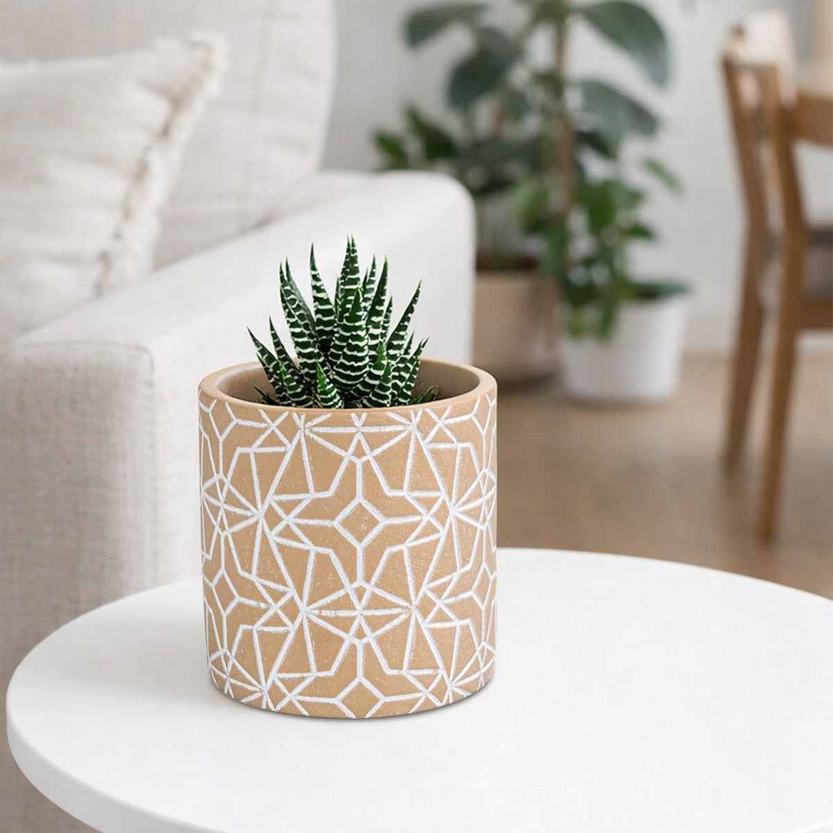 Eden 11.5cm earth etch indoor concrete planter for small plants and textured décor