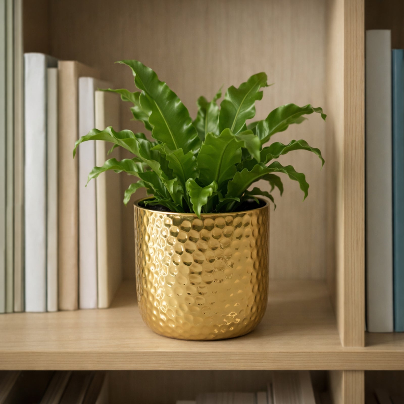 Eden 11.5cm gold ceramic hammered pot for indoor plants and decorative styling