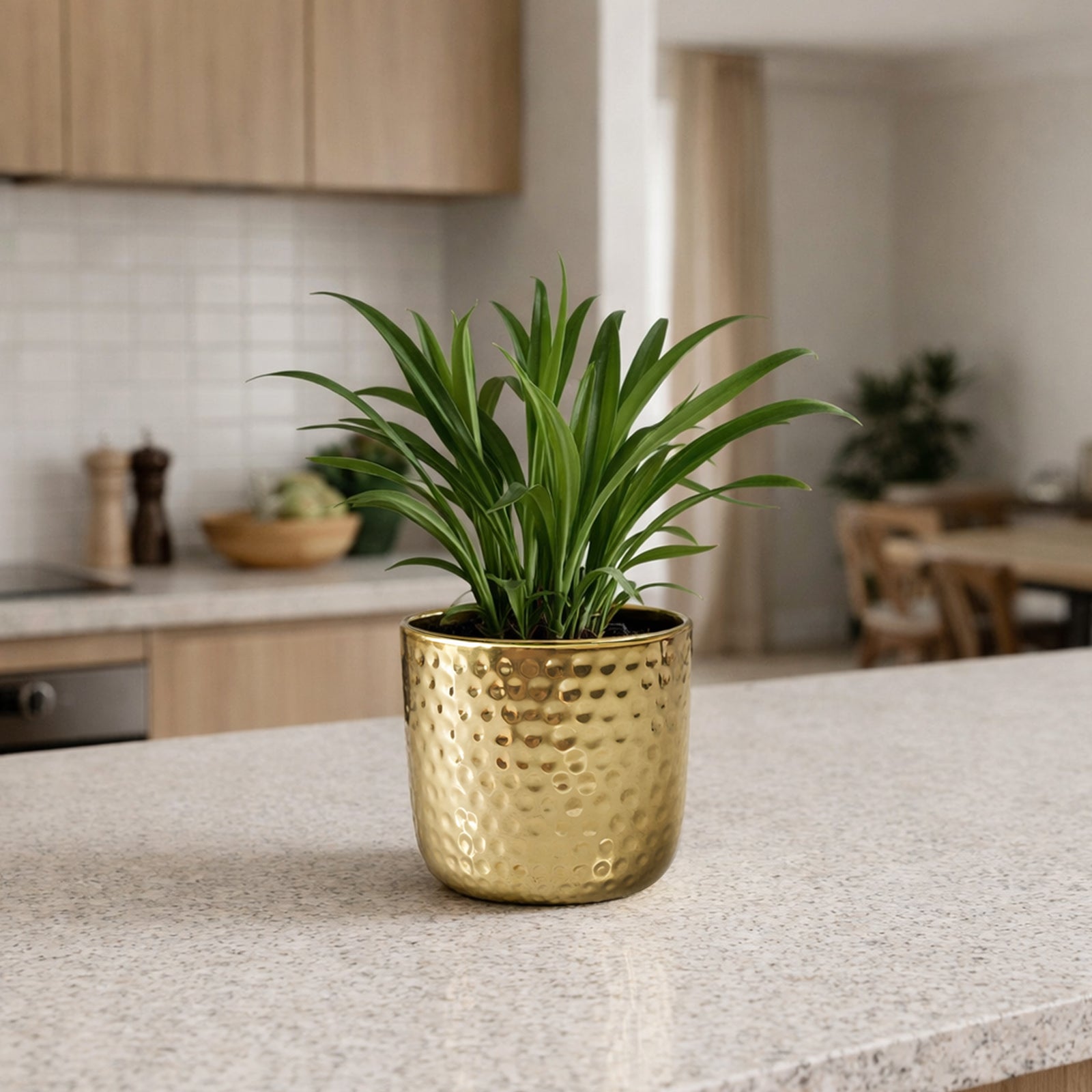 Eden 11.5cm gold ceramic hammered pot for indoor plants and decorative styling