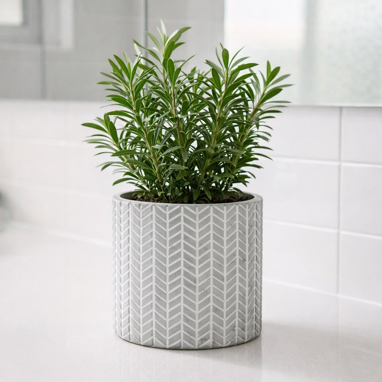 Eden 11.5cm grey chevron indoor concrete planter for small plants and décor