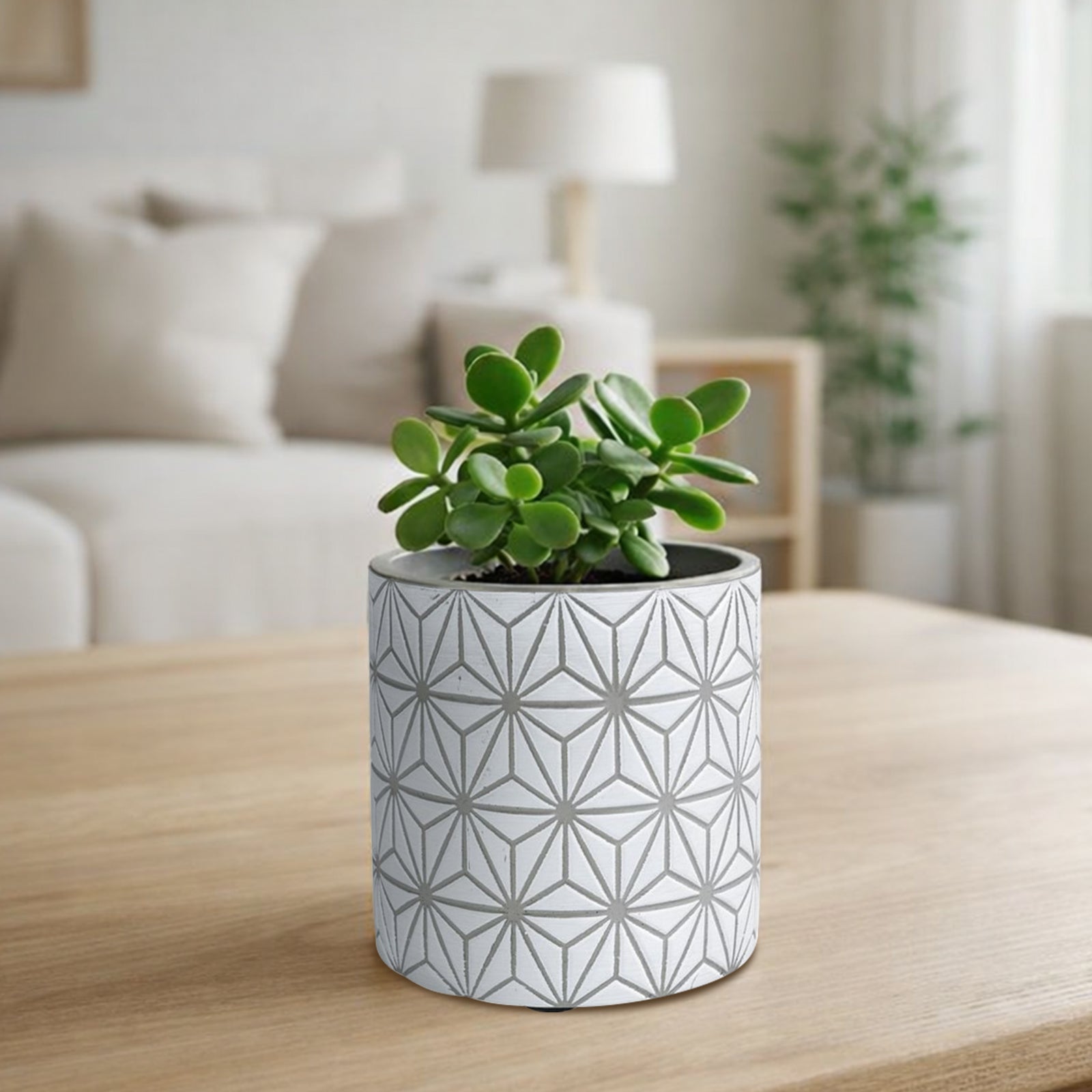 Eden 11.5cm grey geo indoor concrete planter for small plants and décor