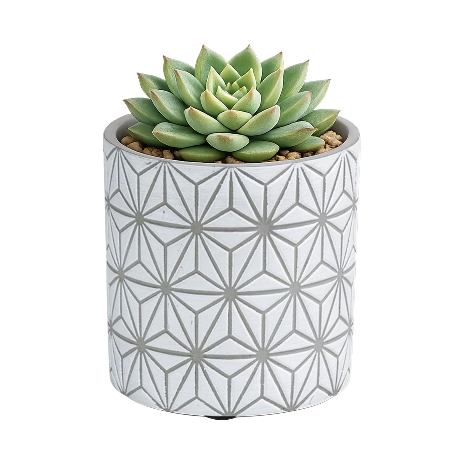 Eden 11.5cm grey geo indoor concrete planter for small plants and décor