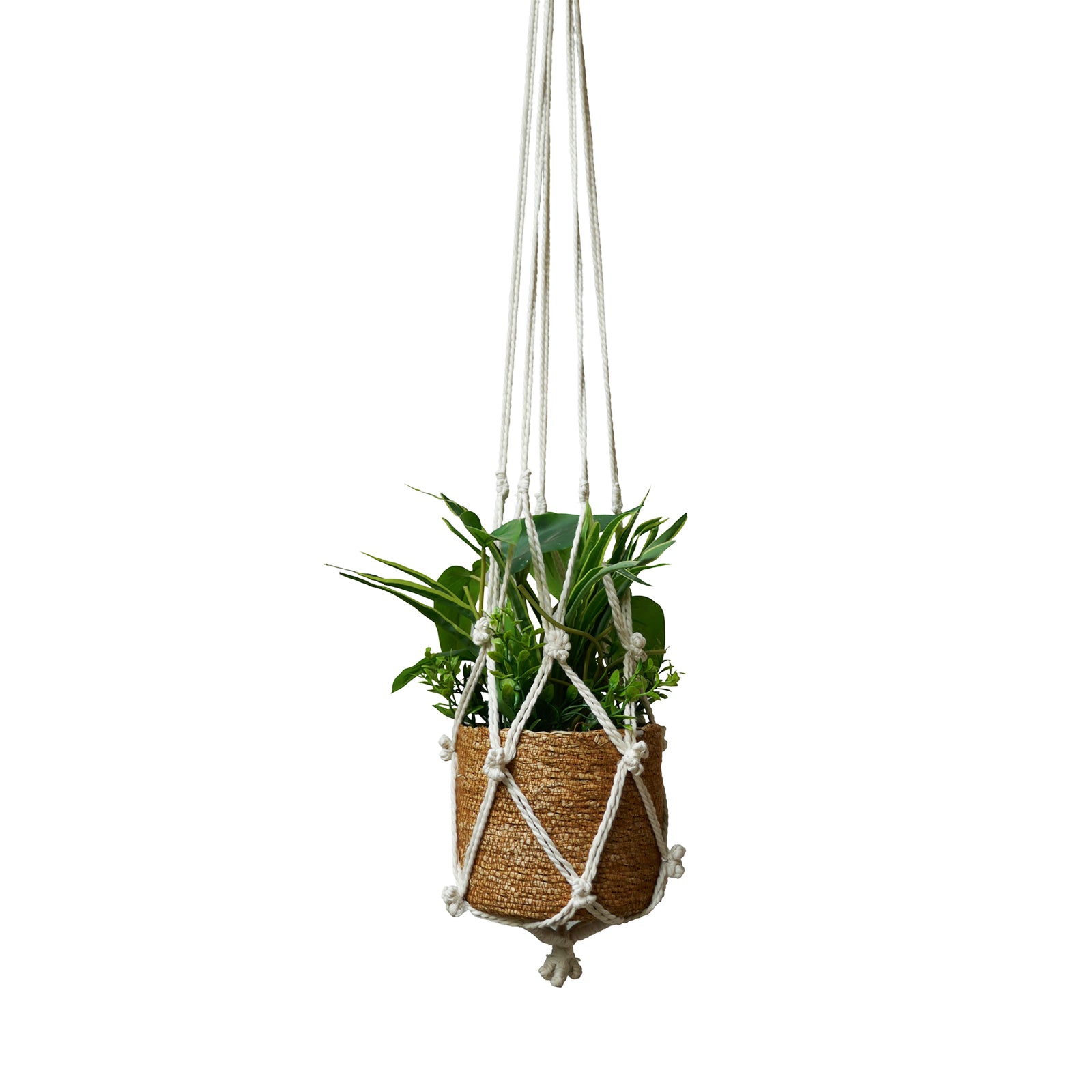 Eden 110cm cotton macrame plant hanger with tassels for indoor hanging pots and décor