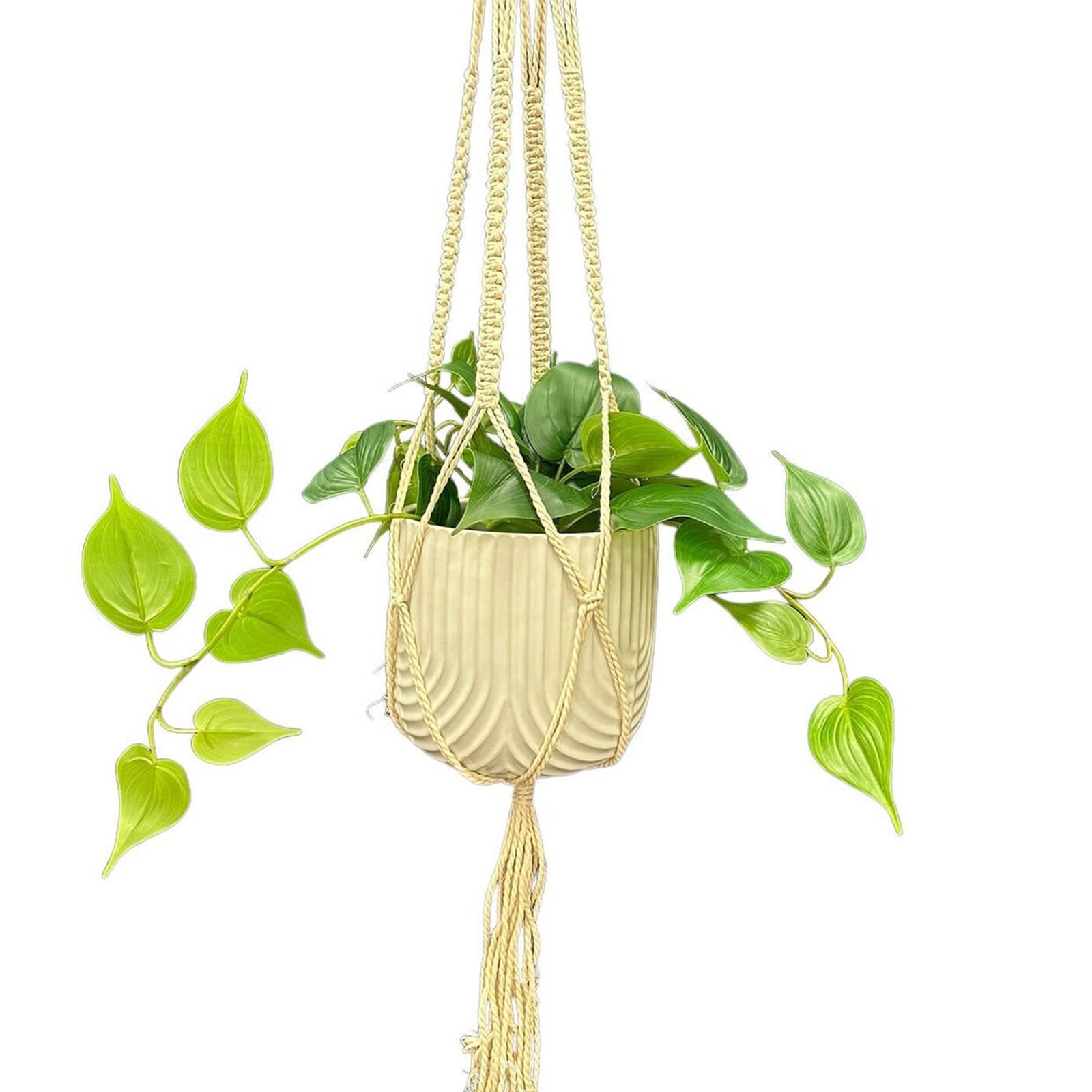 Eden 115cm gypsy cotton macrame hanger suitable for hanging indoor plant pots and décor