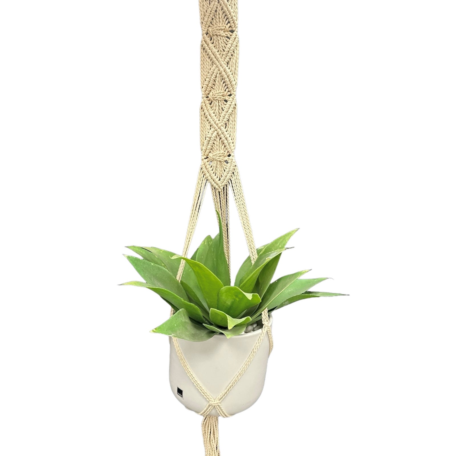 Eden 120cm artisan cotton macrame plant hanger designed for indoor hanging pots and boho décor