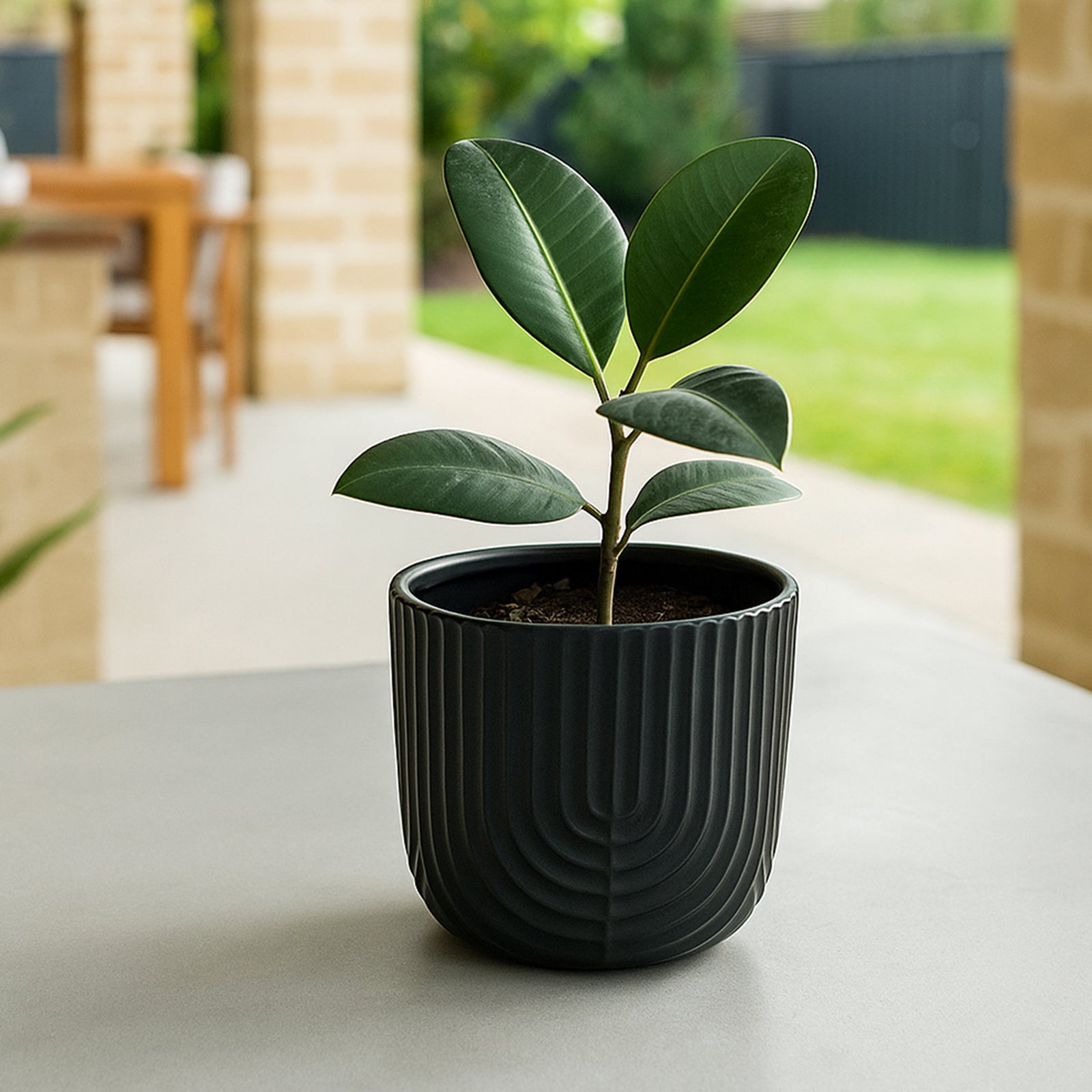 Eden 12cm black ceramic rainbow pot for small indoor plants and modern décor