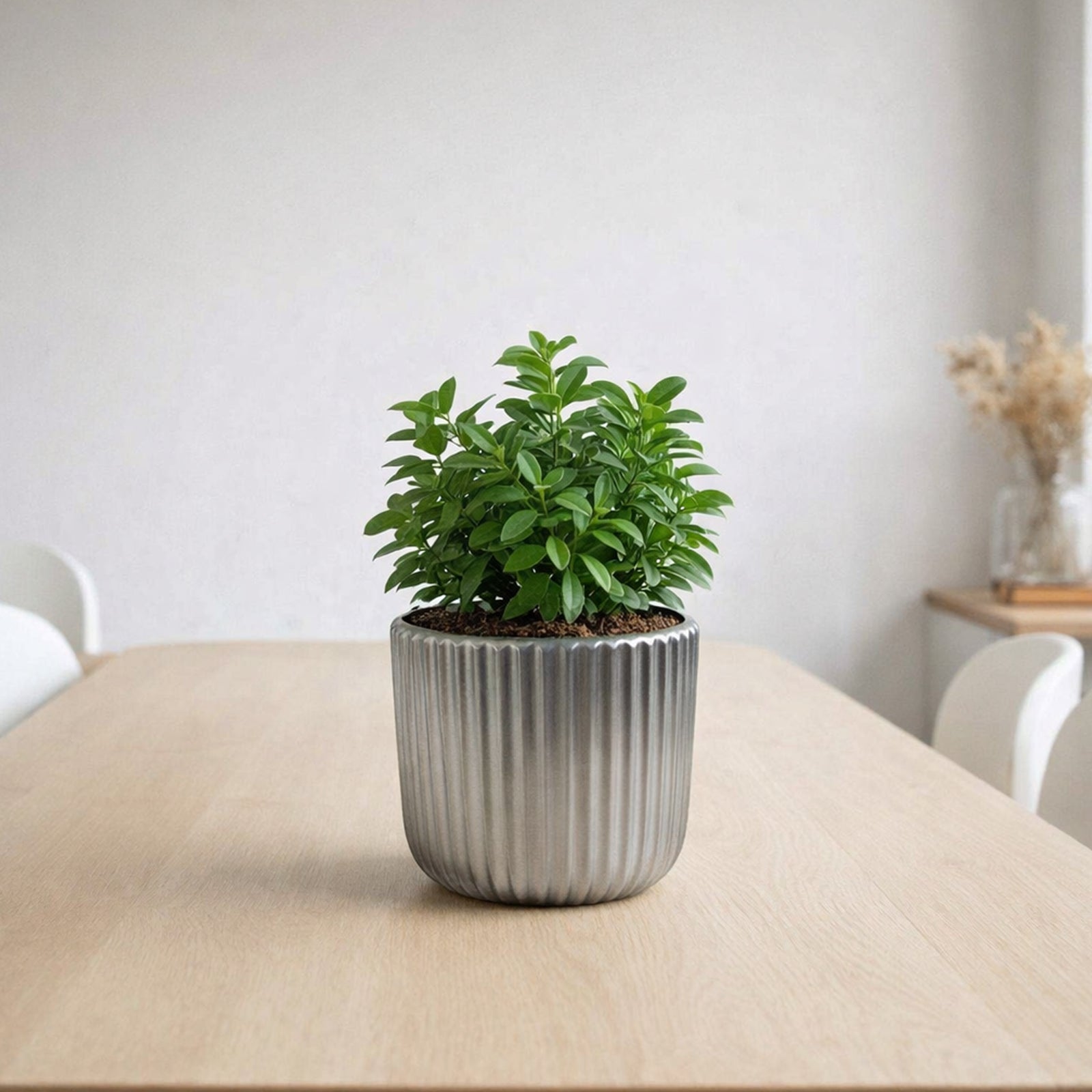 Eden 12cm silver ceramic fluted pot for small indoor plants and decorative styling