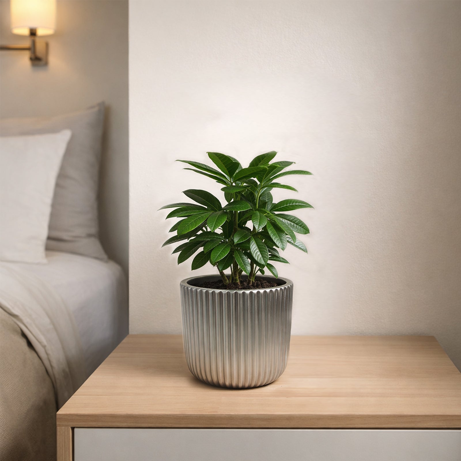Eden 12cm silver ceramic fluted pot for small indoor plants and decorative styling