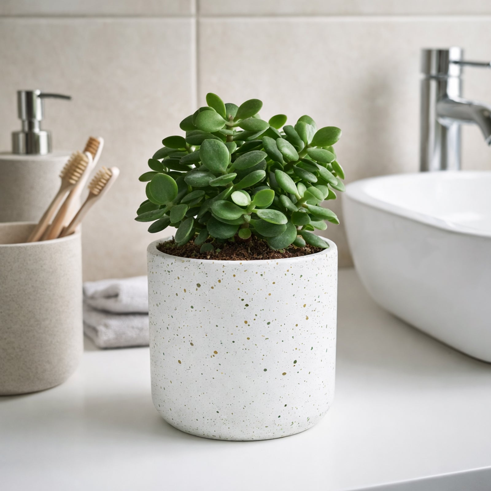 Eden 12cm white terrazzo indoor concrete planter for small plants and modern décor