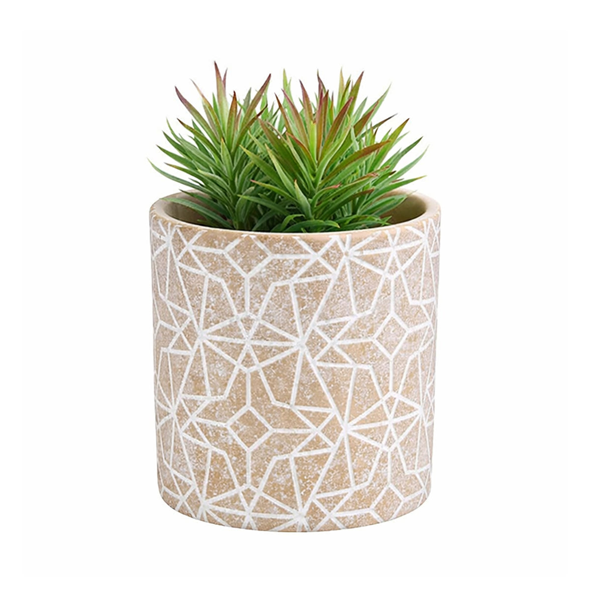 Eden 13.5cm earth etch indoor concrete planter ideal for indoor plants and styling