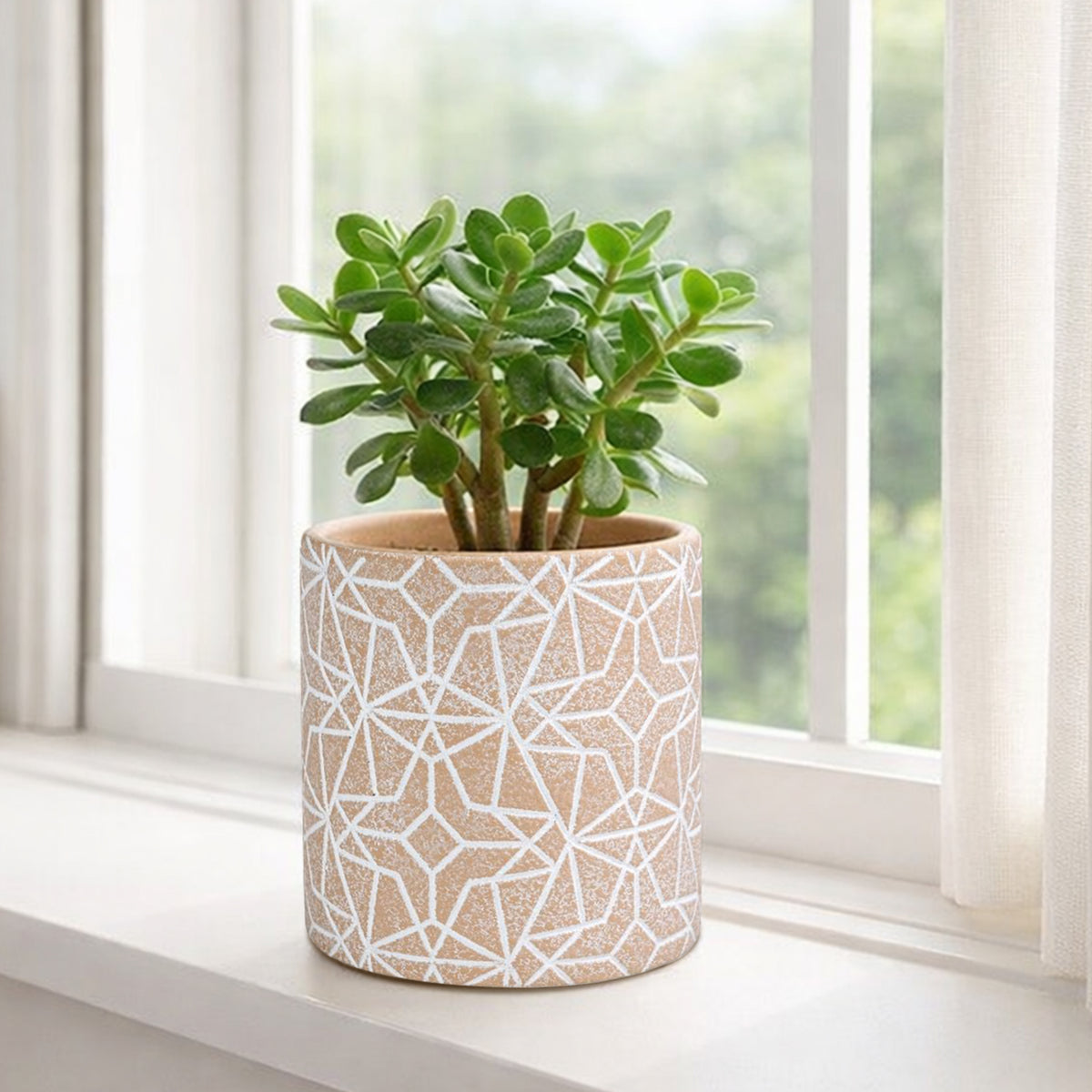 Eden 13.5cm earth etch indoor concrete planter ideal for indoor plants and styling