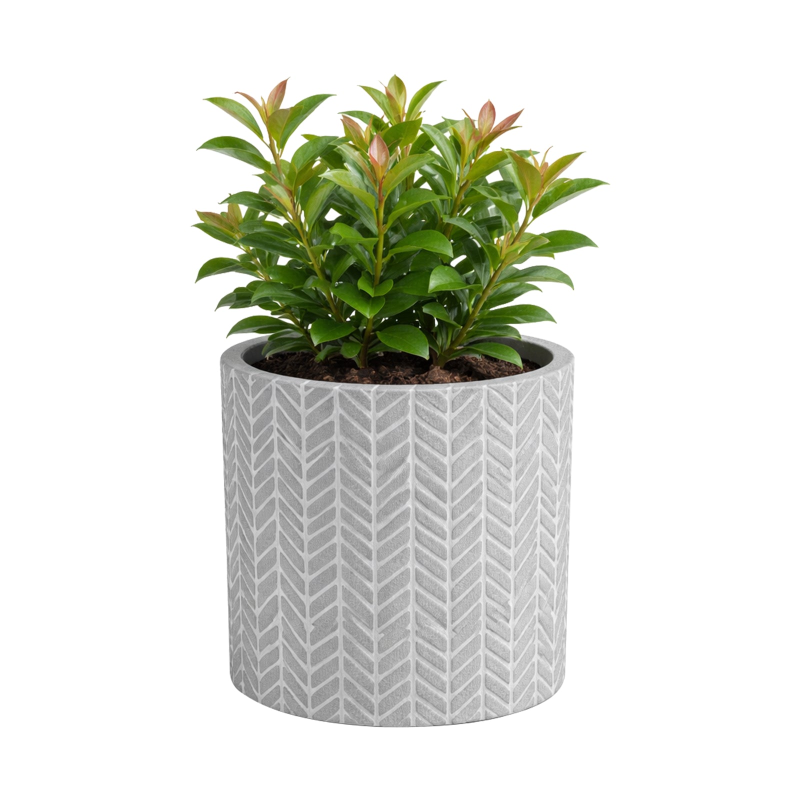 Eden 13.5cm grey chevron indoor concrete planter ideal for indoor plants