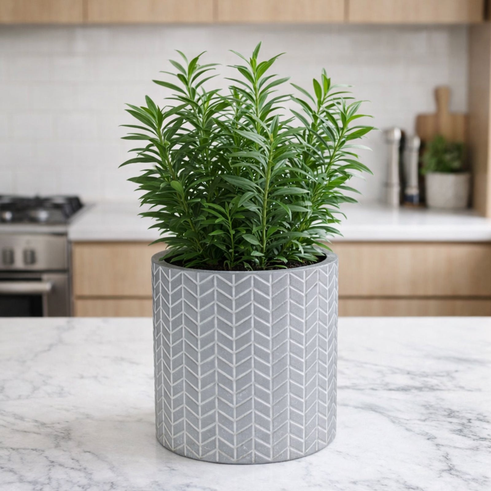 Eden 13.5cm grey chevron indoor concrete planter ideal for indoor plants
