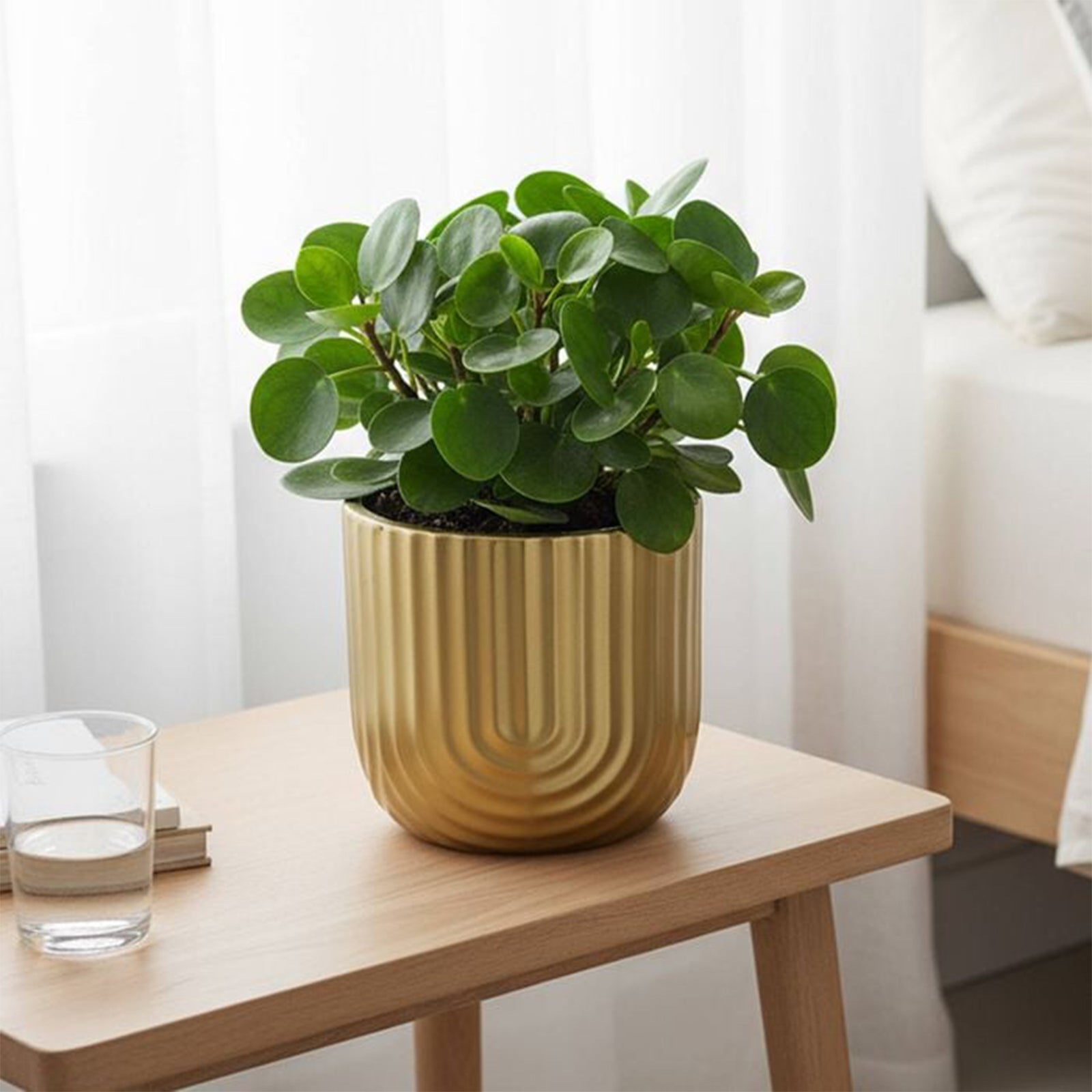 Eden 14.5cm gold rainbow indoor ceramic planter for stylish plant display