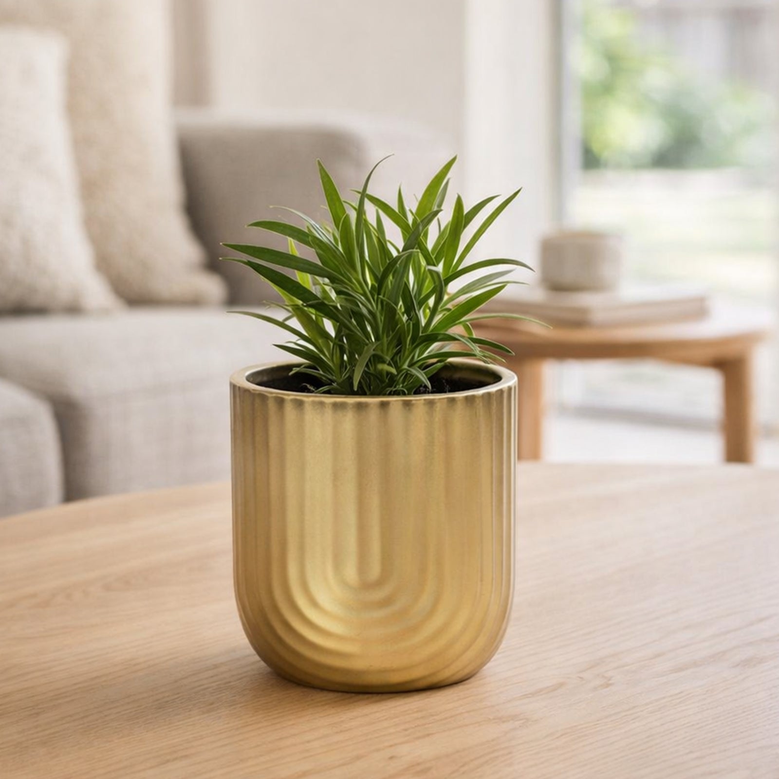 Eden 14.5cm gold rainbow indoor ceramic planter for stylish plant display