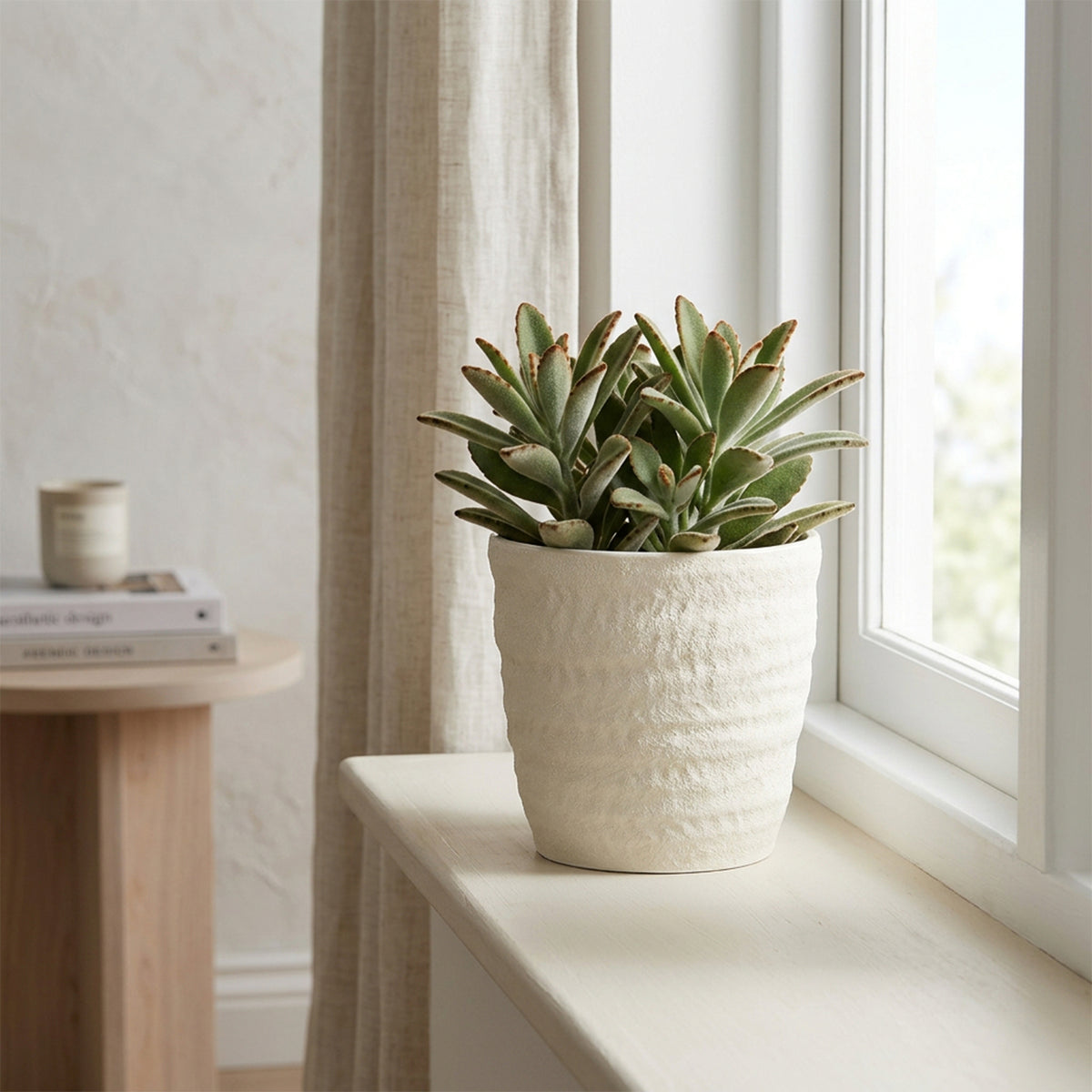 Eden 14.5cm Off White Cima Indoor Ceramic Pot