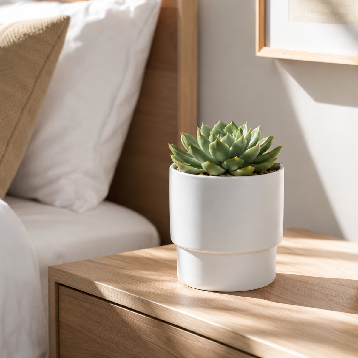 Eden 14.5cm White Eclipse Indoor Ceramic Pot