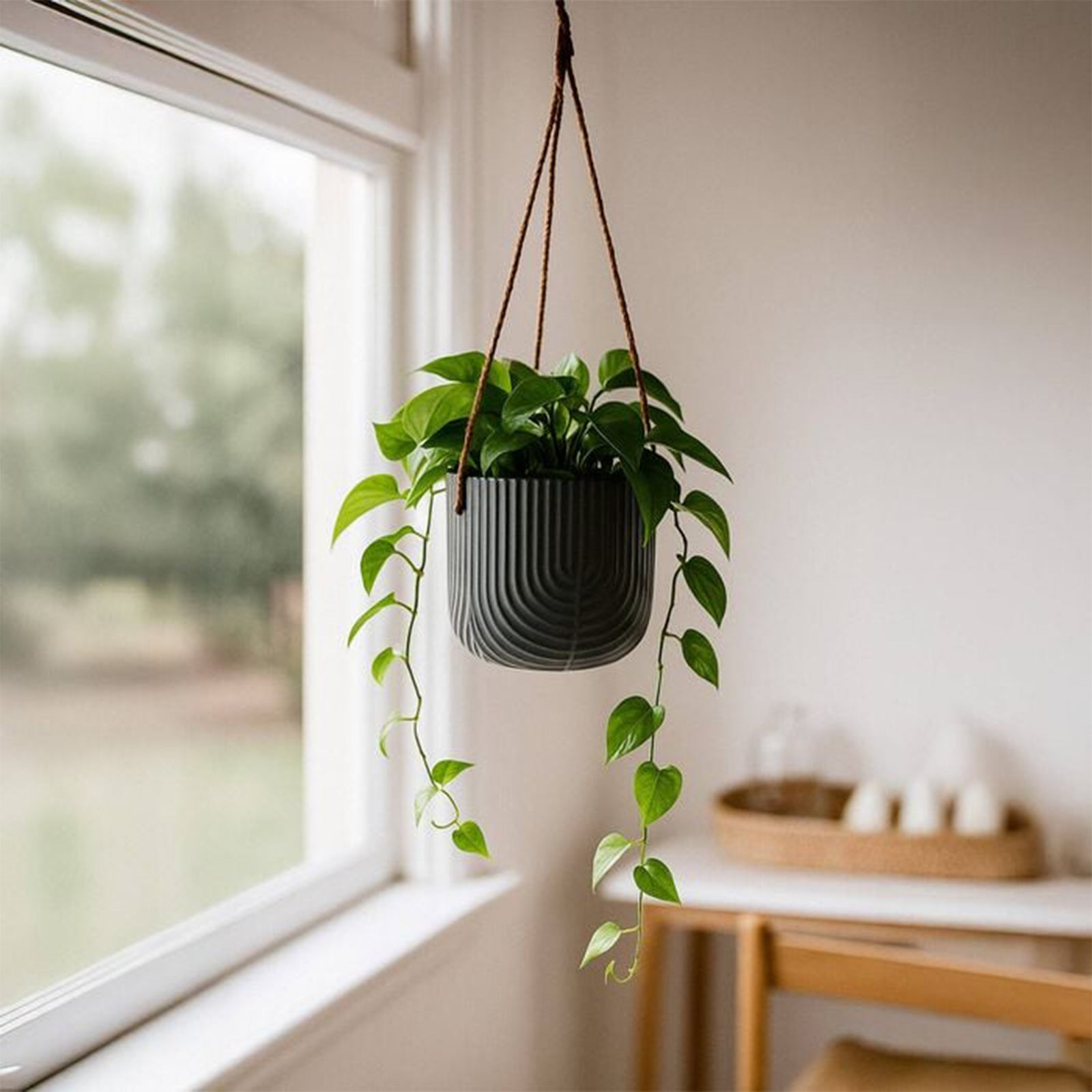 Eden black ceramic rainbow hanging planter for contemporary indoor plant display