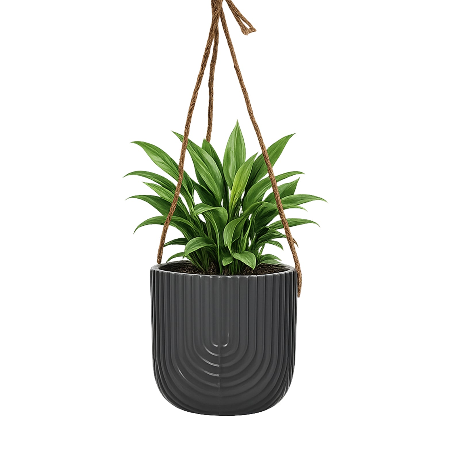 Eden black ceramic rainbow hanging planter for contemporary indoor plant display
