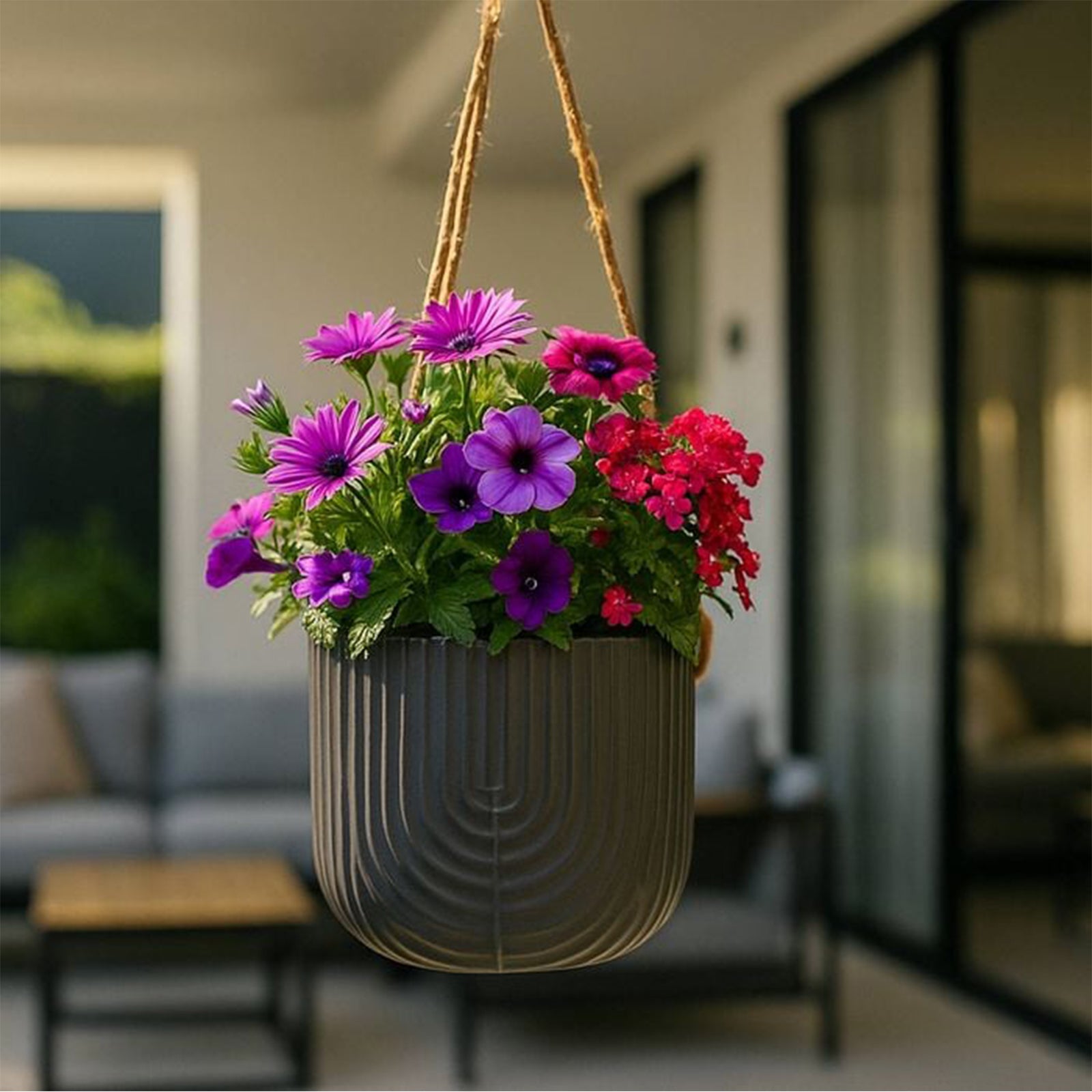 Eden black ceramic rainbow hanging planter for contemporary indoor plant display