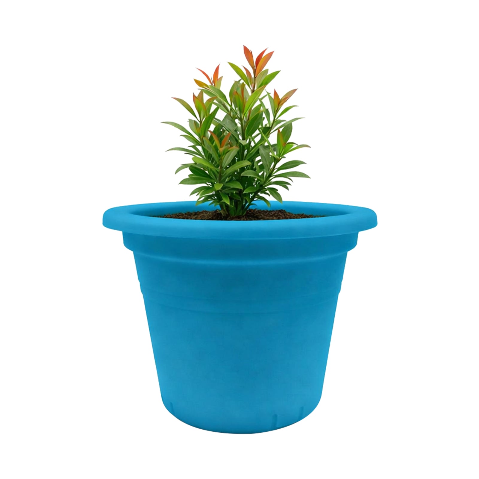 Eden aqua transparent cylinder plastic pot for indoor plants and orchids