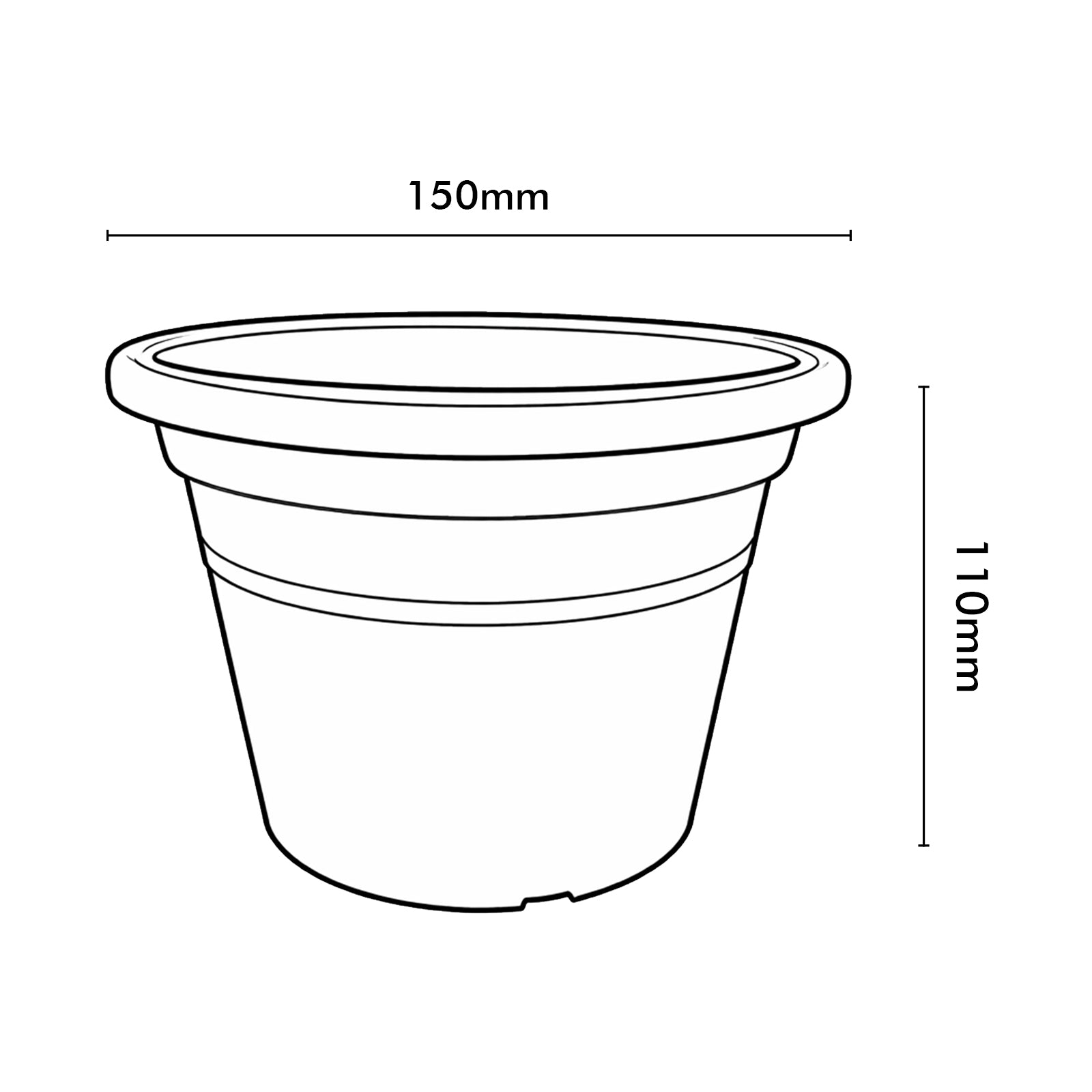 Eden aqua transparent cylinder plastic pot for indoor plants and orchids