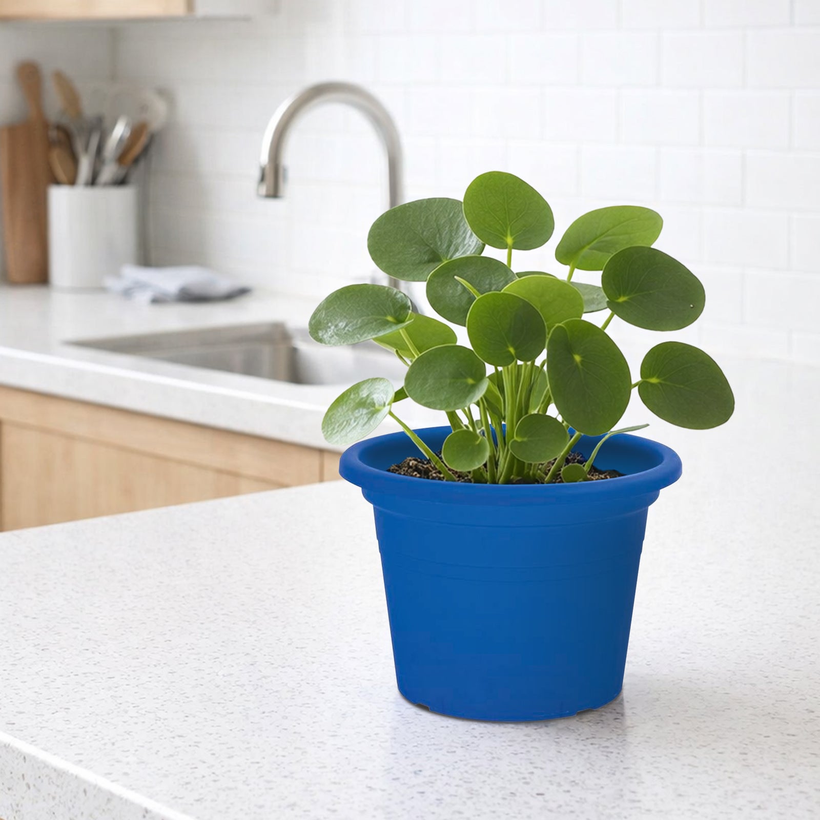 Eden blue transparent round cylinder planter for modern indoor décor