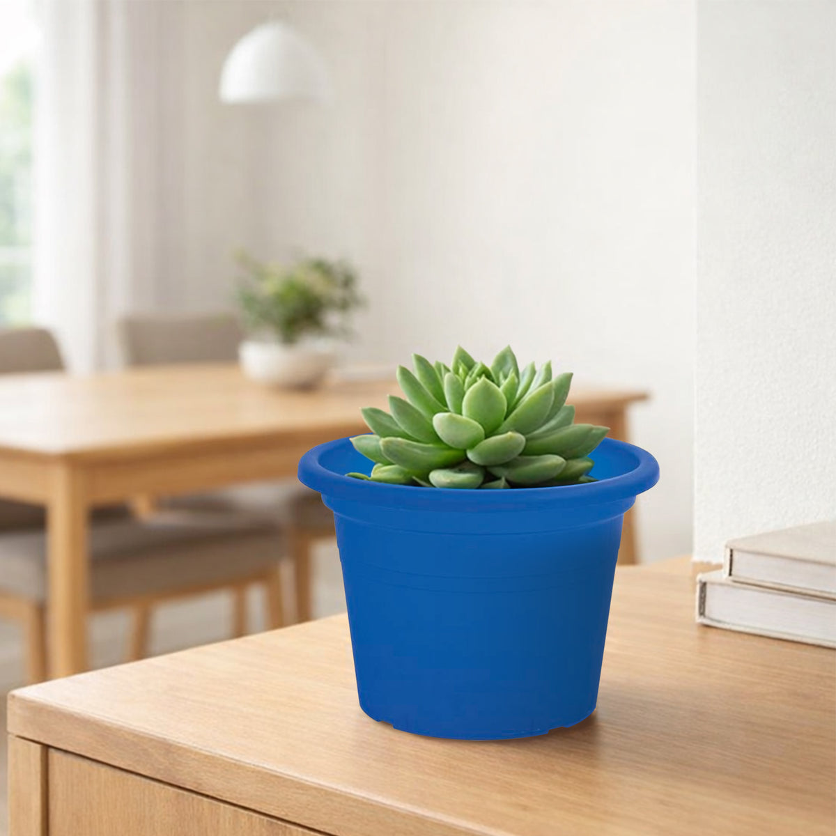 Eden blue transparent round cylinder planter for modern indoor décor