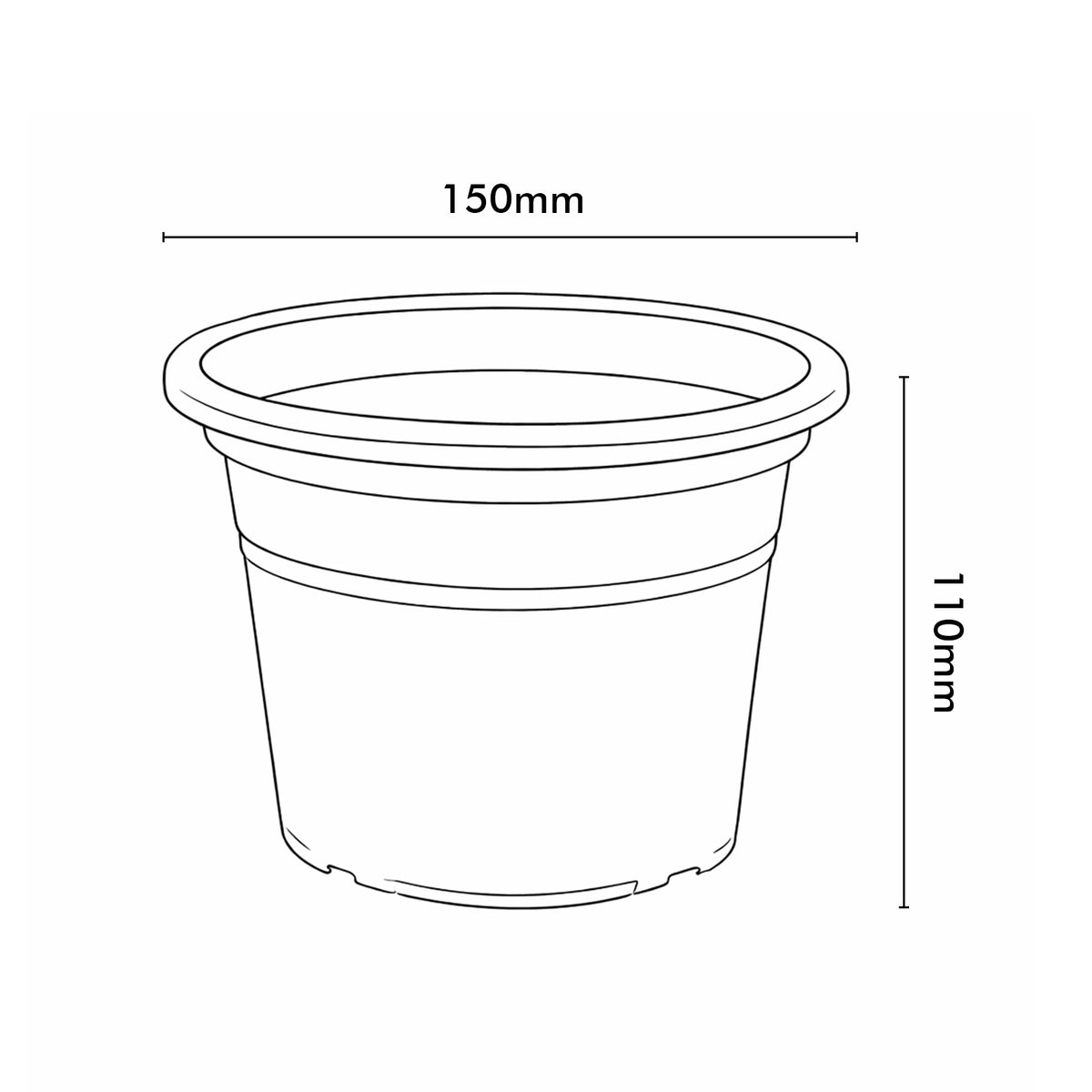 Eden blue transparent round cylinder planter for modern indoor décor
