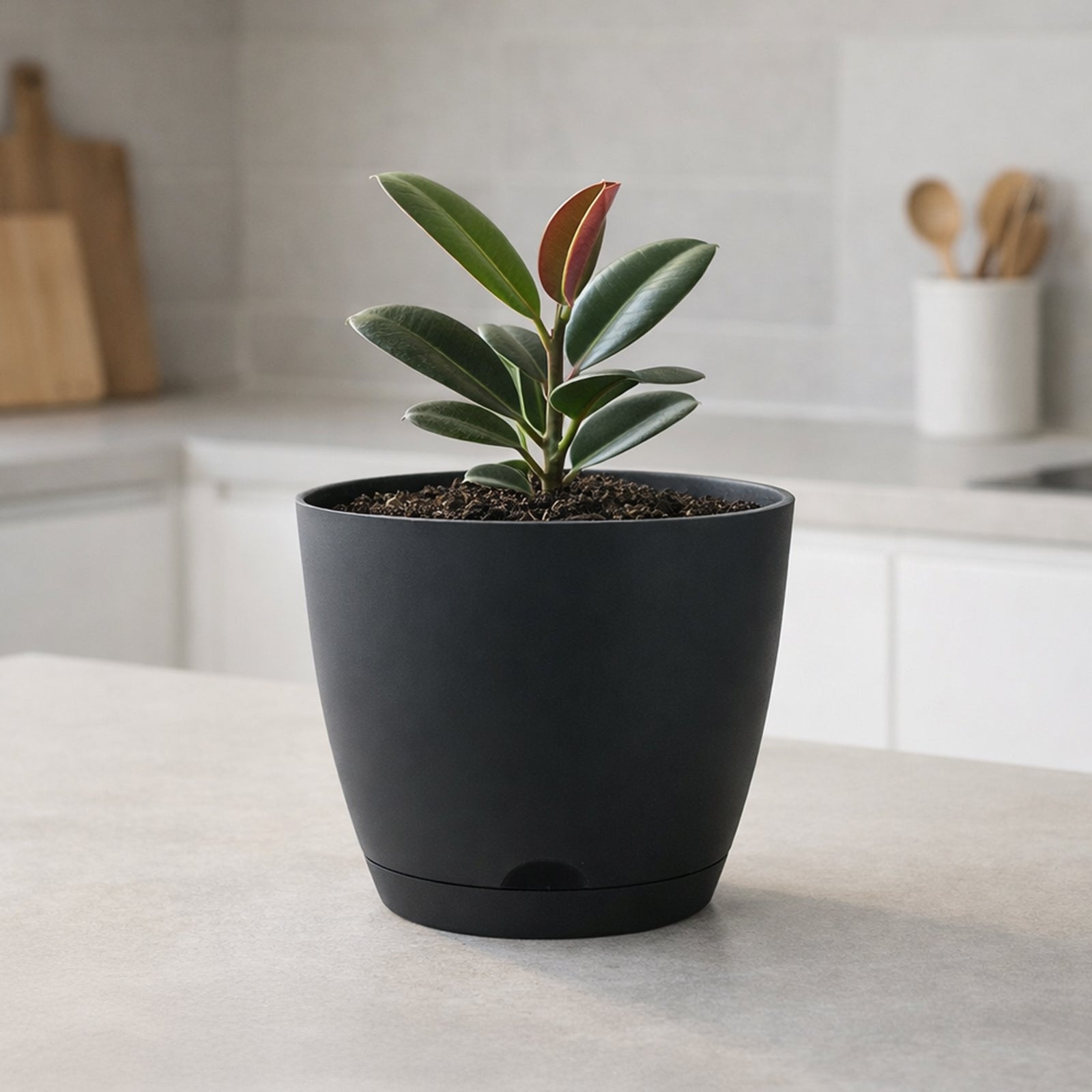 Eden charcoal Oslo self-watering planter for low-maintenance indoor plants
