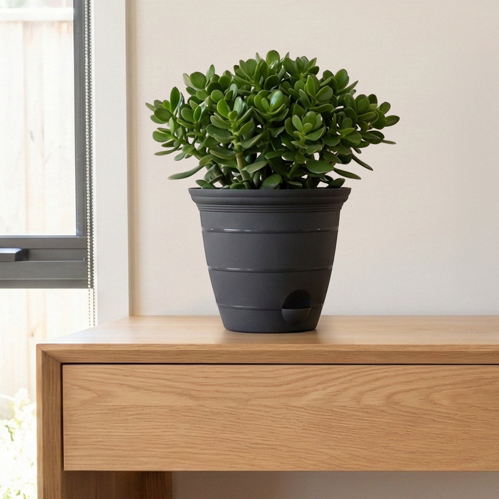 Eden charcoal Roman self-watering planter for low-maintenance indoor plants