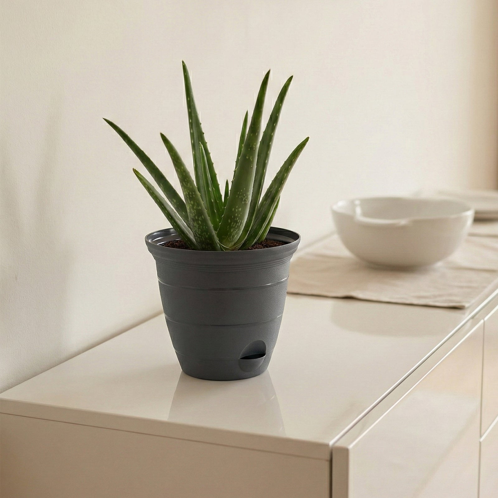 Eden charcoal Roman self-watering planter for low-maintenance indoor plants