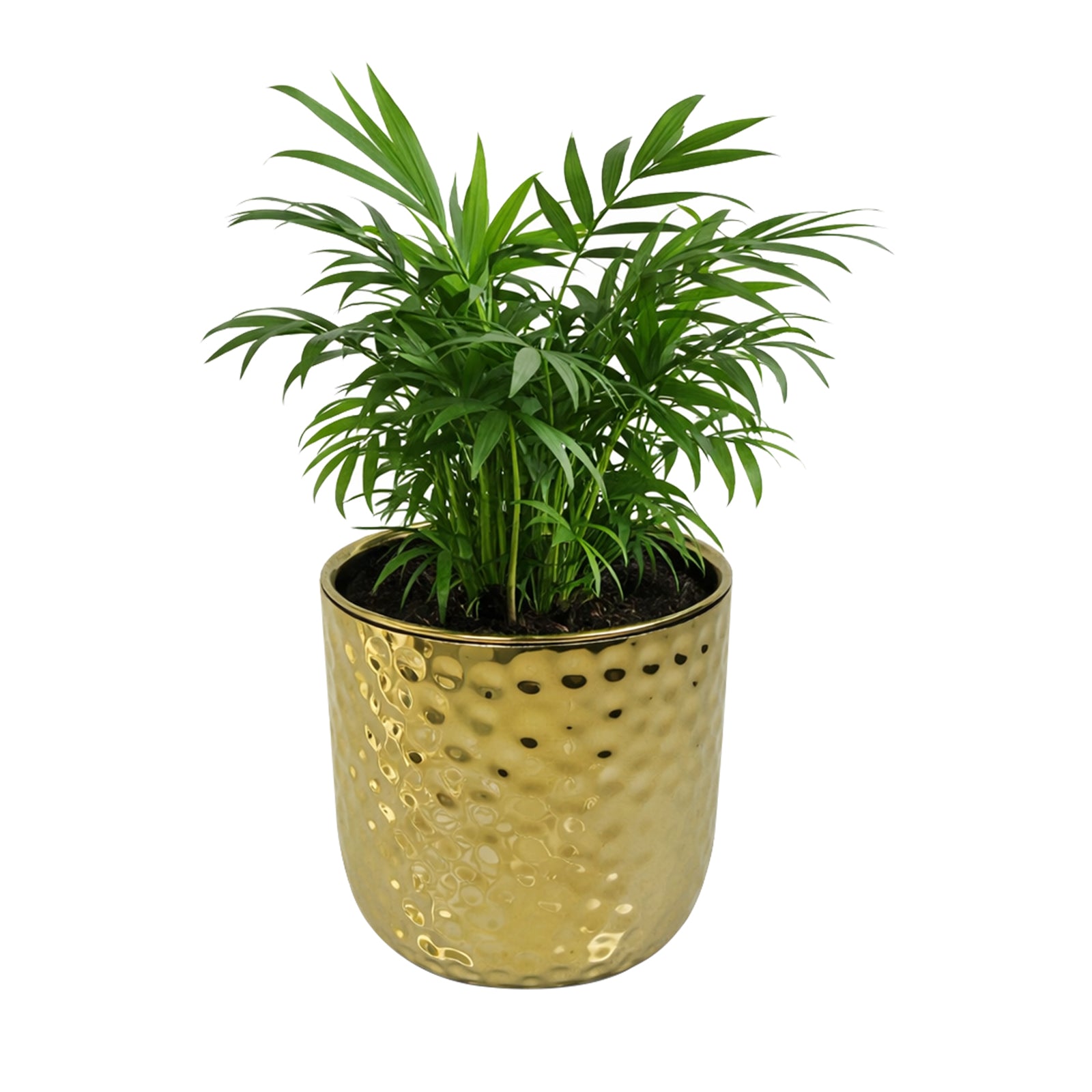 Eden 15cm gold ceramic hammered pot ideal for indoor plants and elegant décor
