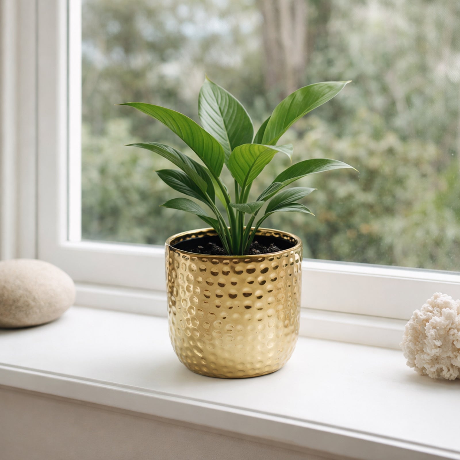 Eden 15cm gold ceramic hammered pot ideal for indoor plants and elegant décor