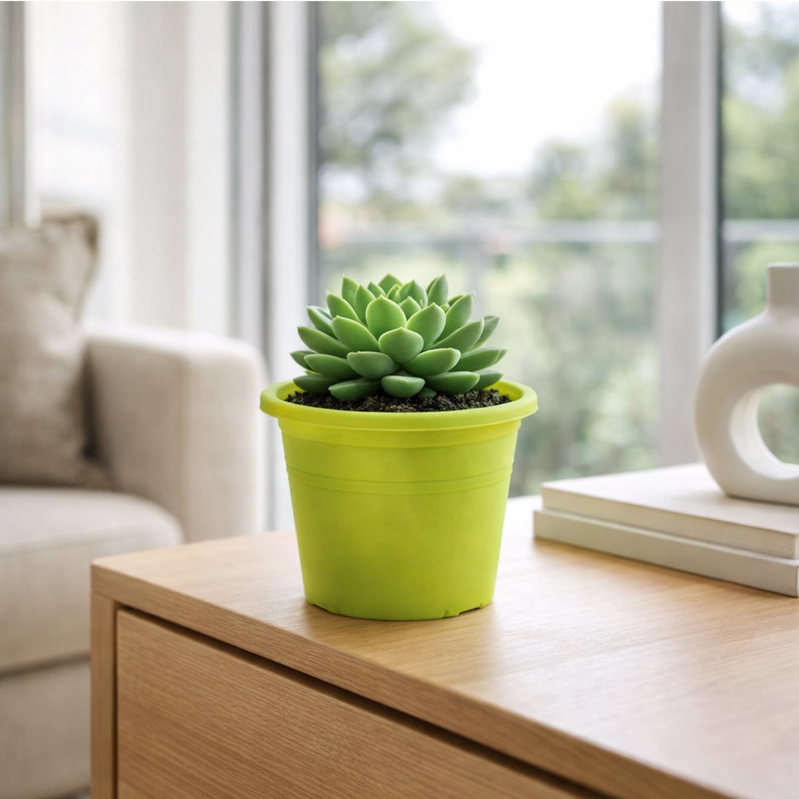 Eden green transparent cylinder plastic pot for herbs and indoor plants