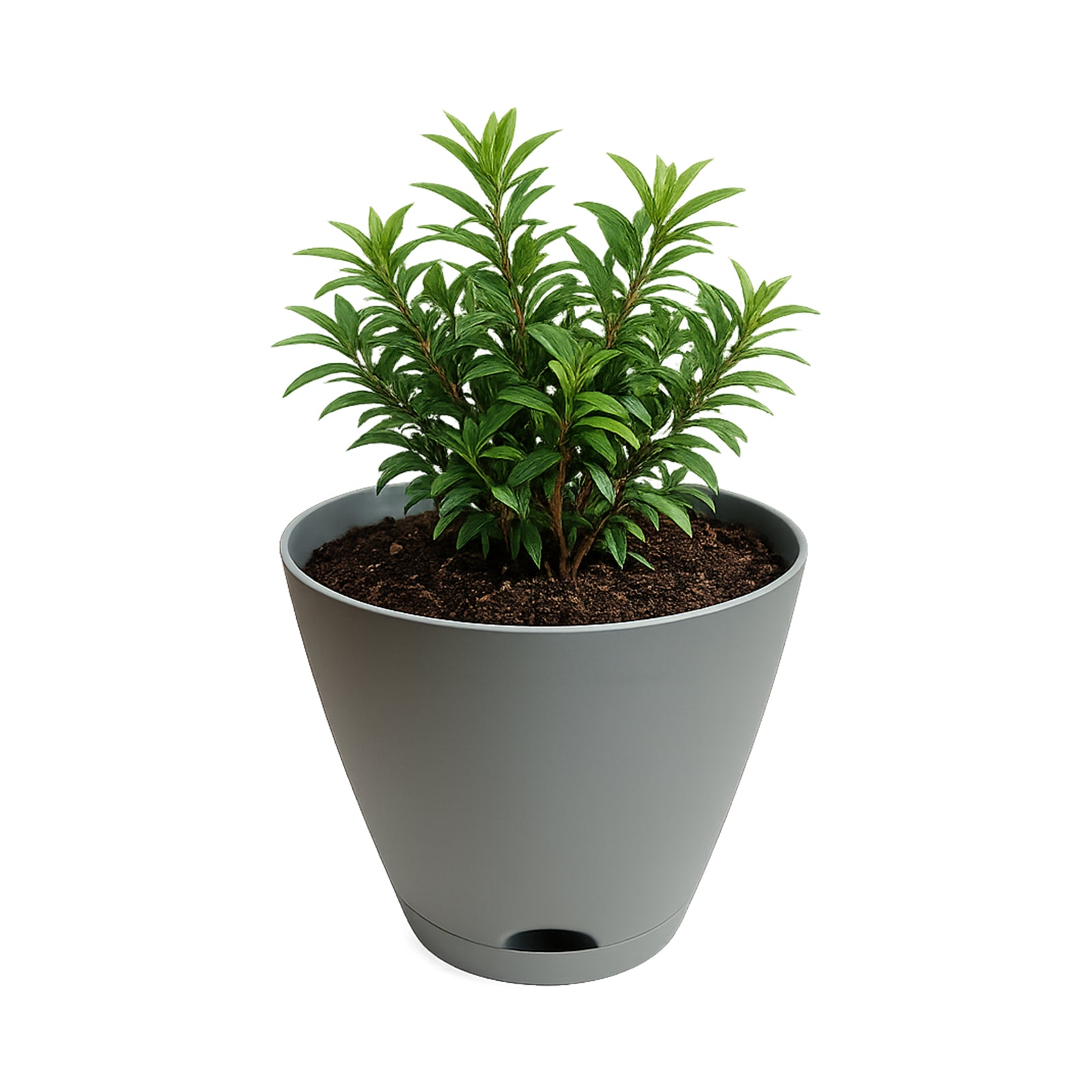 Eden grey Oslo self-watering planter for easy-care indoor and outdoor plants
