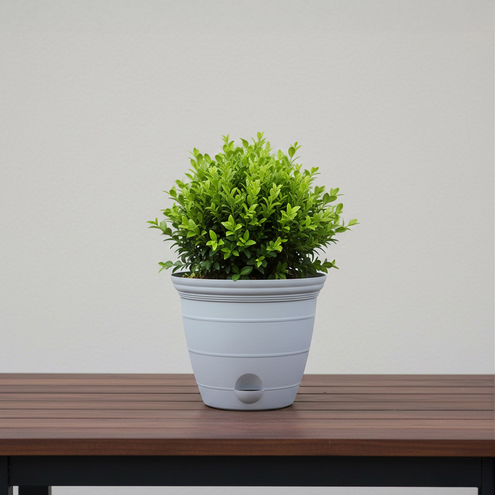 Eden grey Roman self-watering planter for easy-care indoor plants