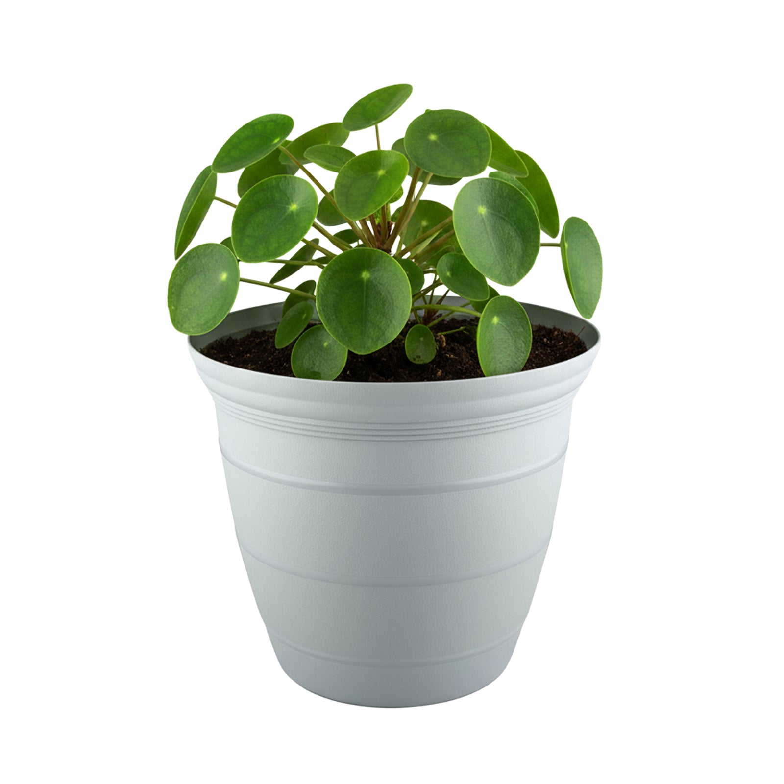 Eden grey Roman self-watering planter for easy-care indoor plants