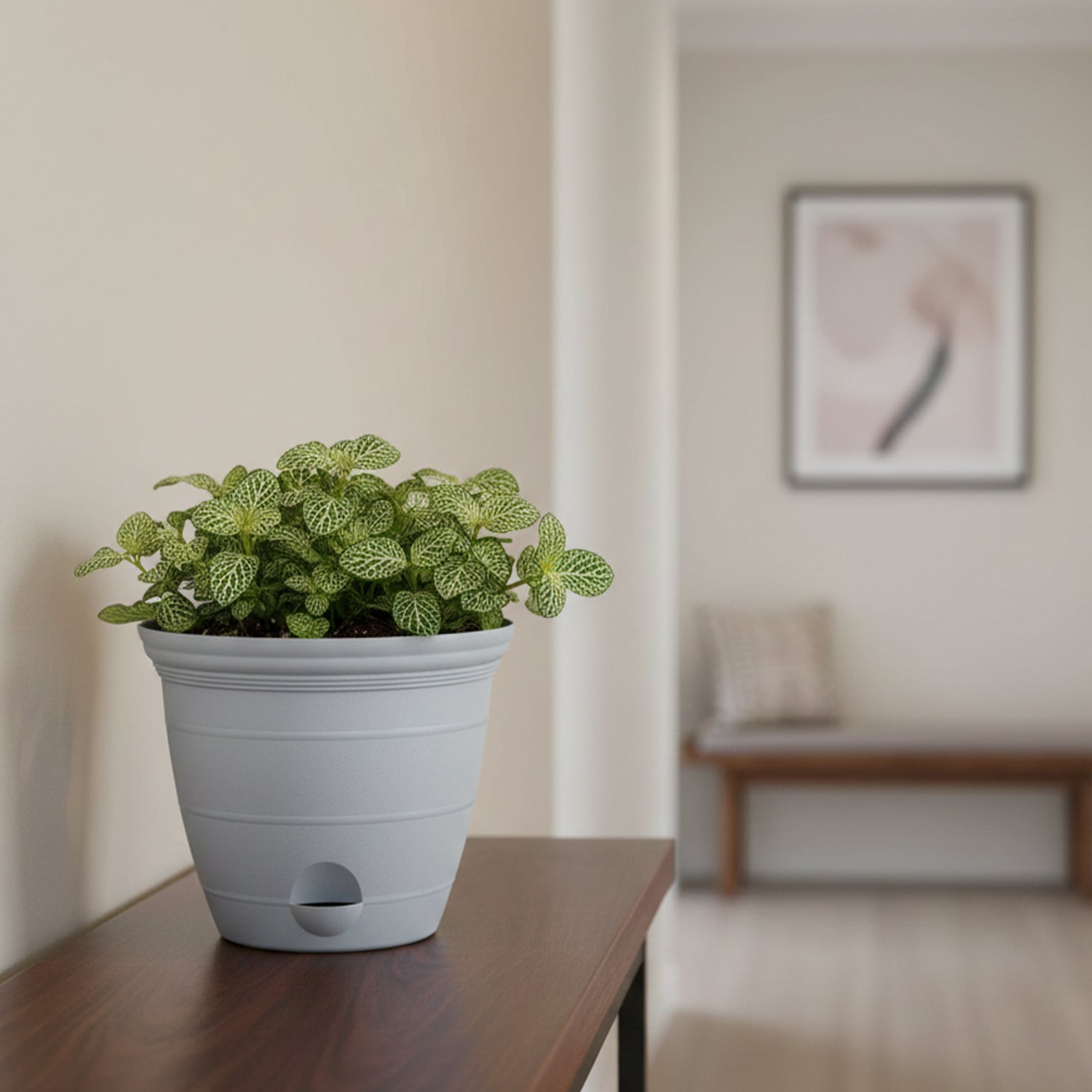 Eden grey Roman self-watering planter for easy-care indoor plants