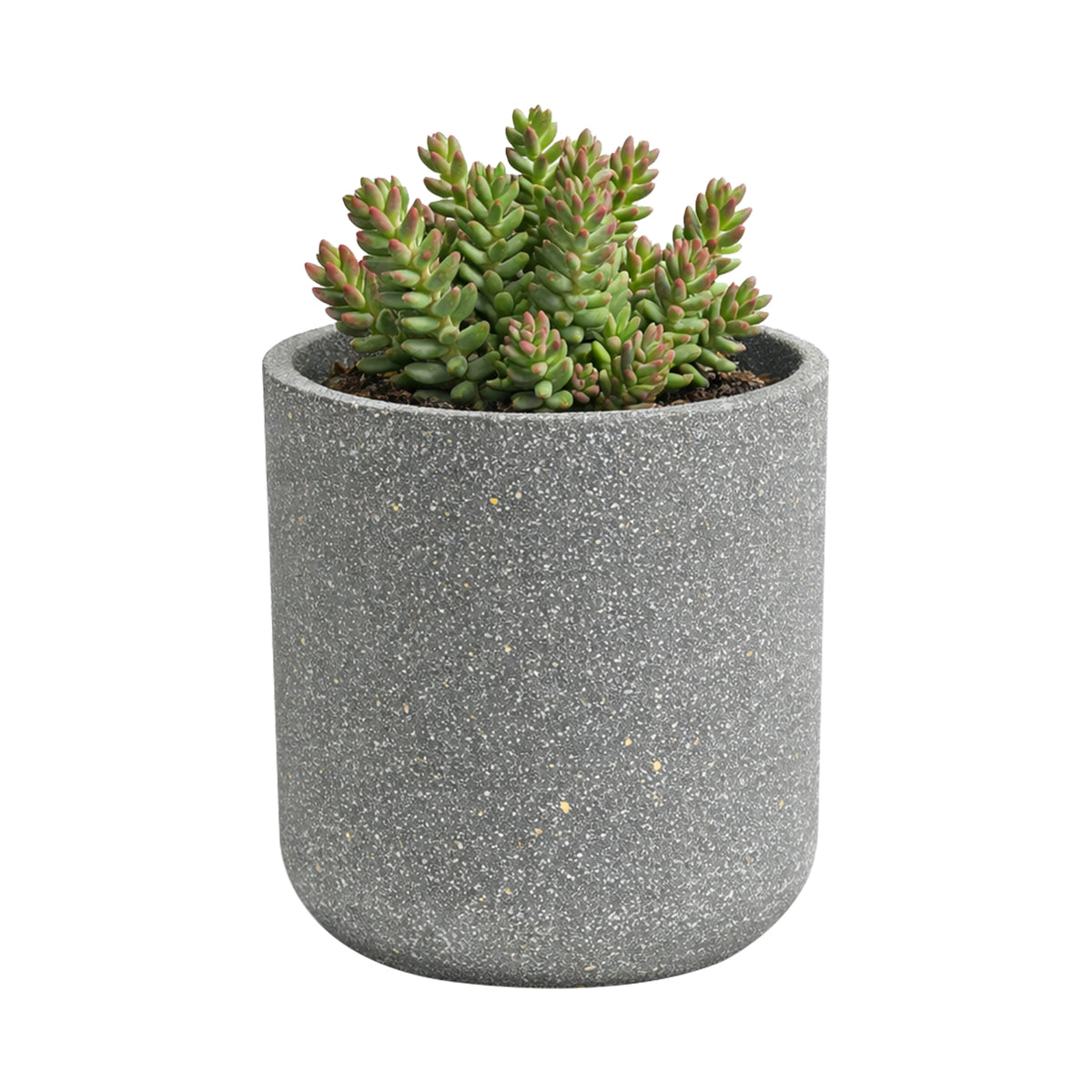 Eden 15cm grey terrazzo indoor concrete planter ideal for indoor plants and styling