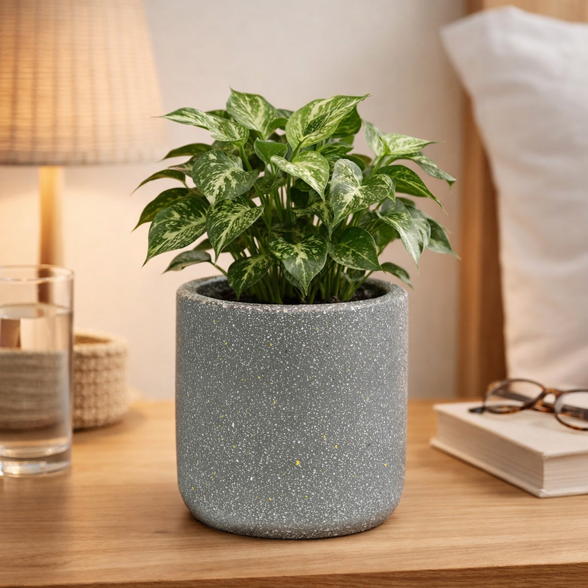 Eden 15cm grey terrazzo indoor concrete planter ideal for indoor plants and styling