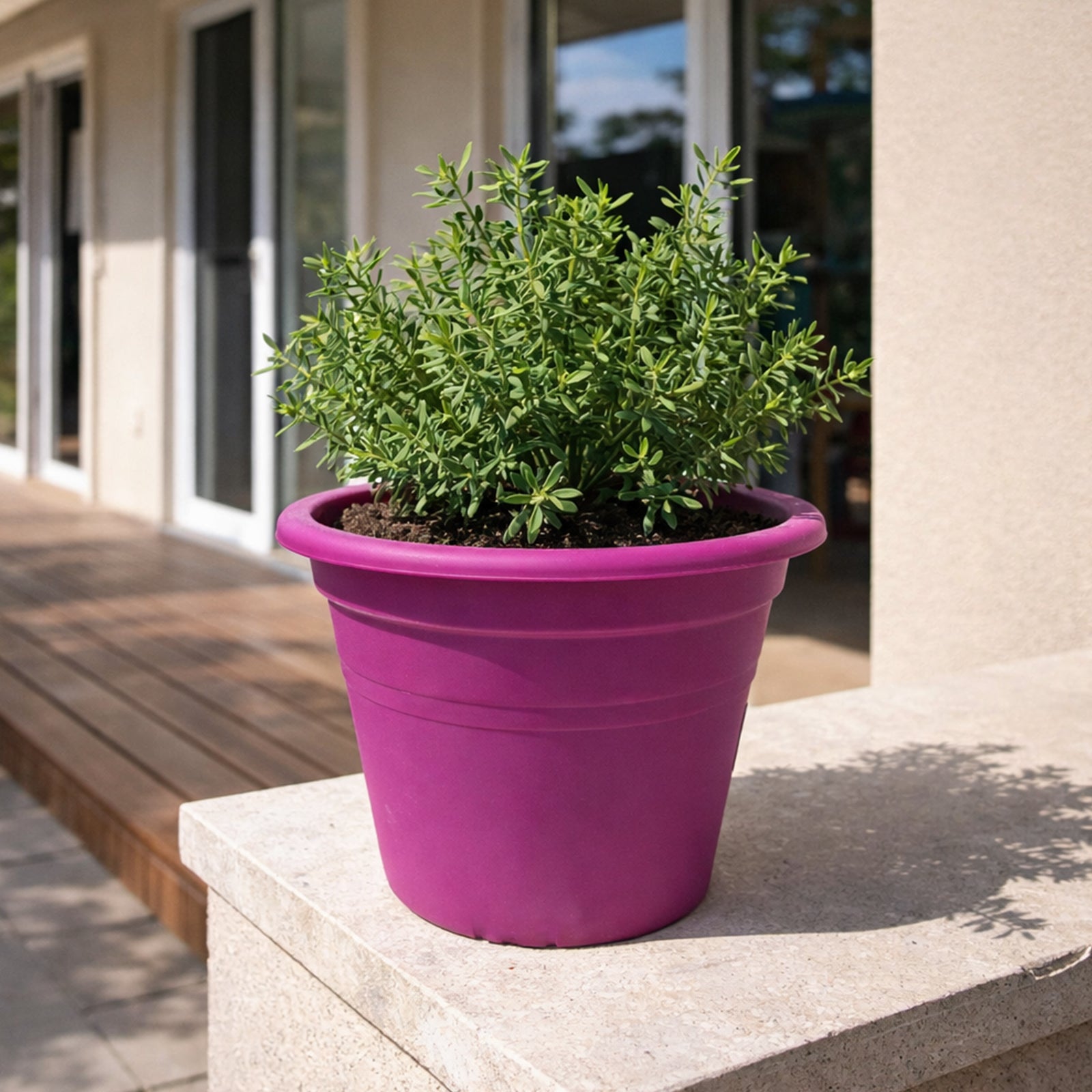 Eden purple transparent round cylinder planter for decorative indoor plants