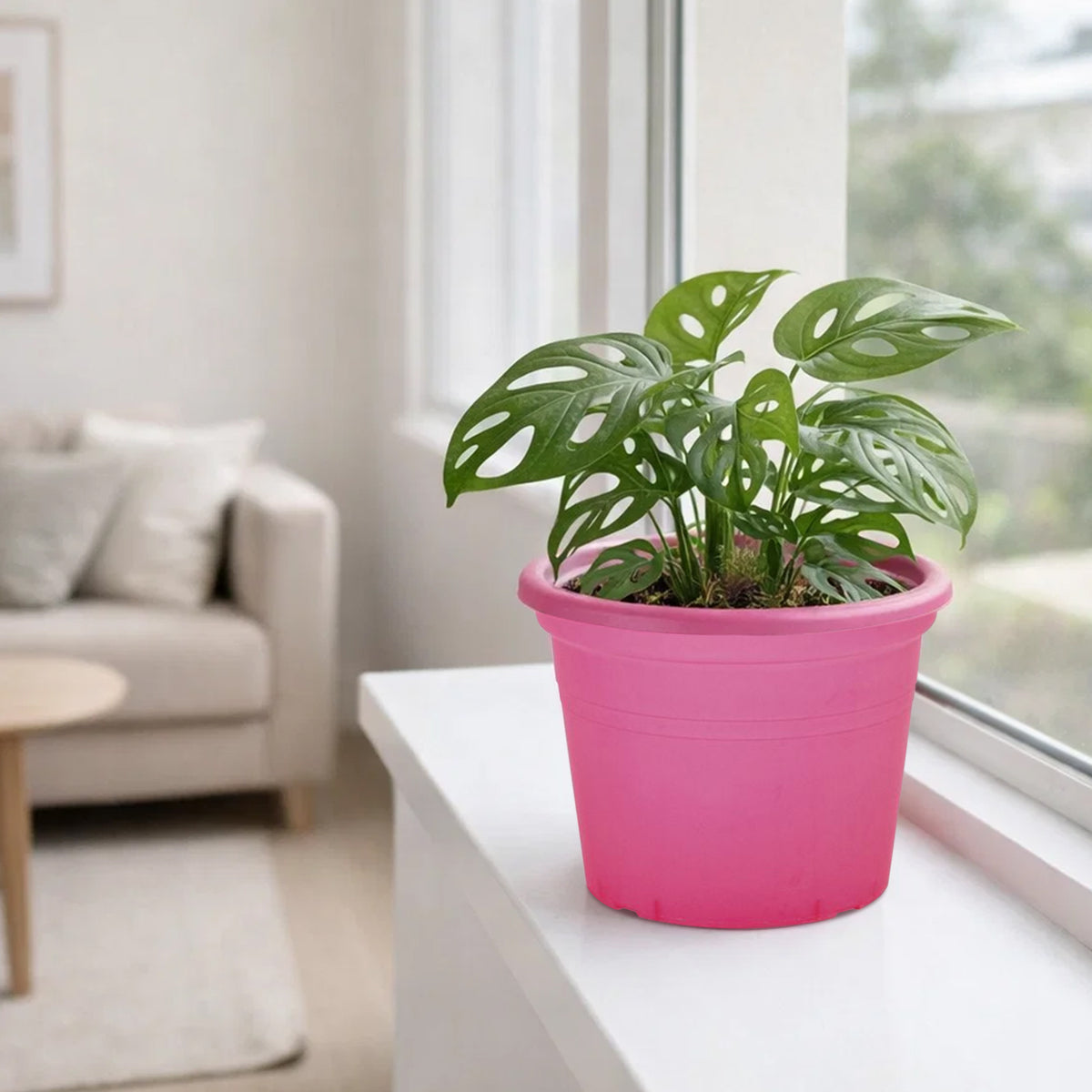 Eden red transparent cylinder plastic pot for vibrant indoor plant display